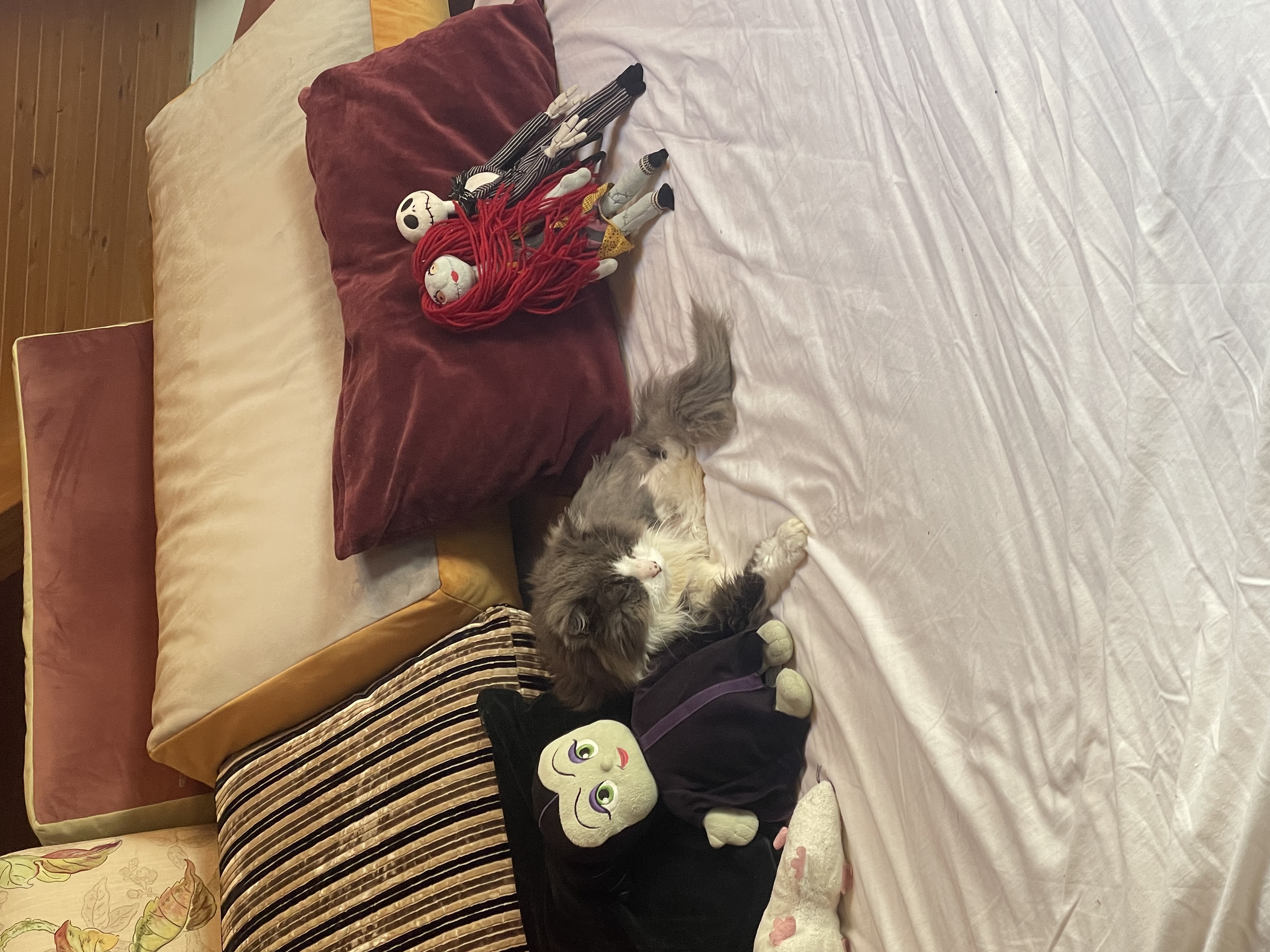 image-19
