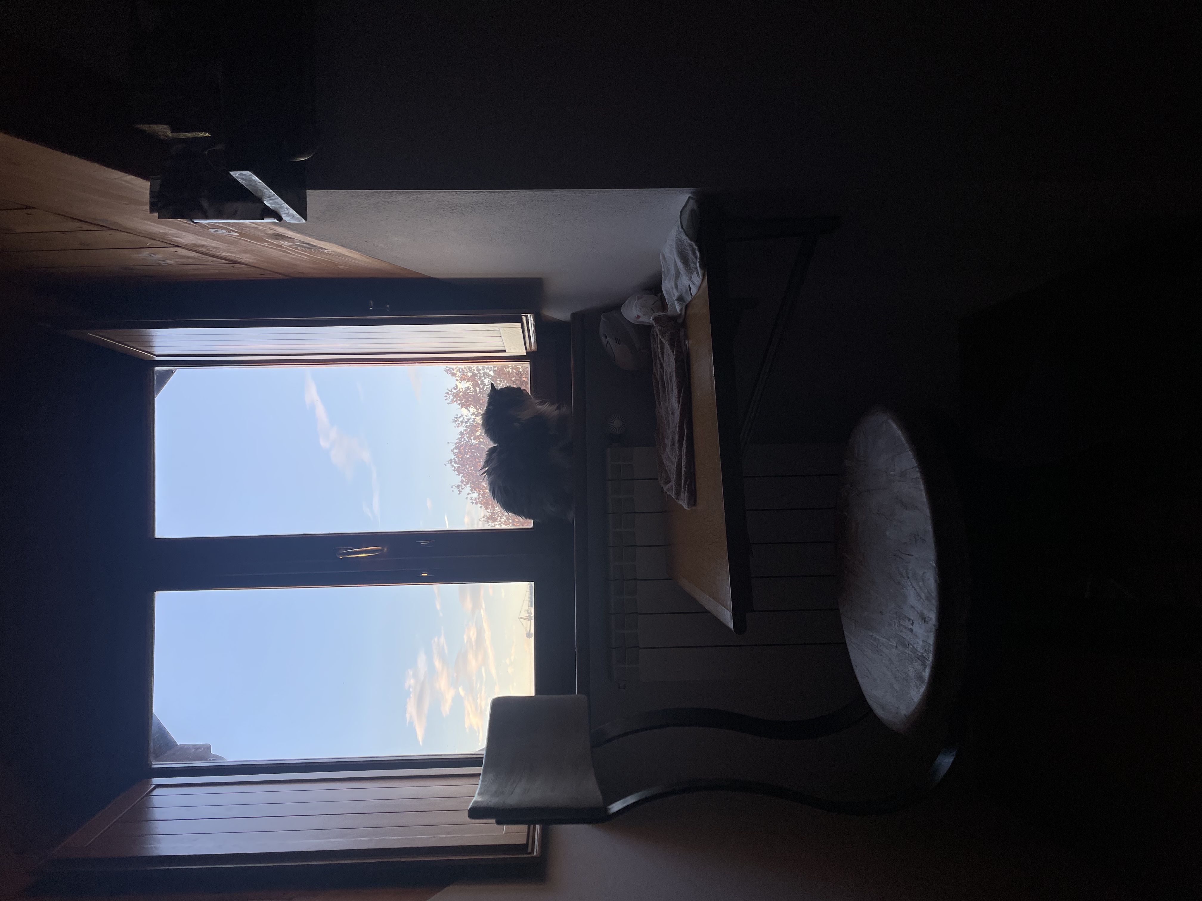 image-15