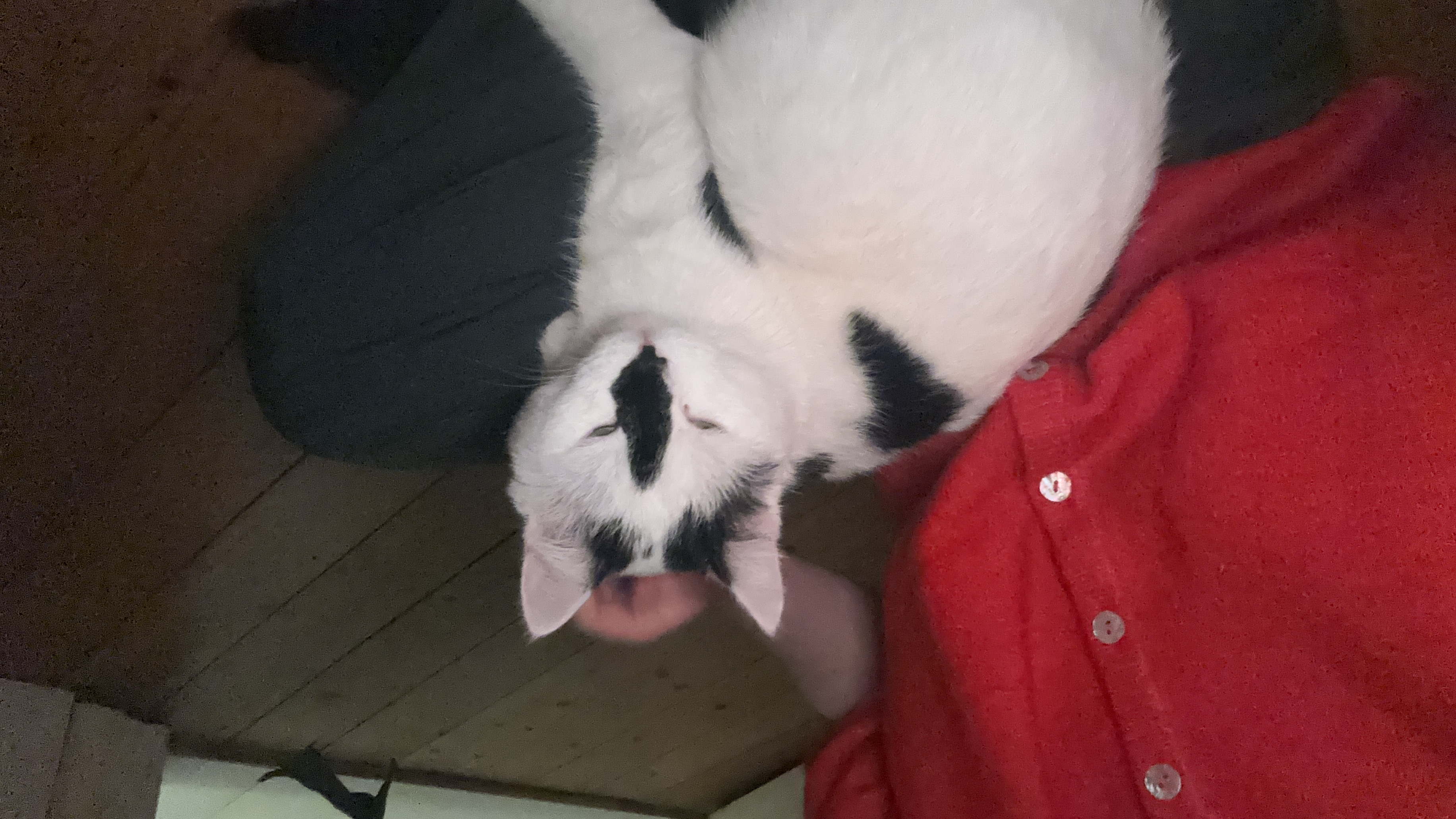 image-6