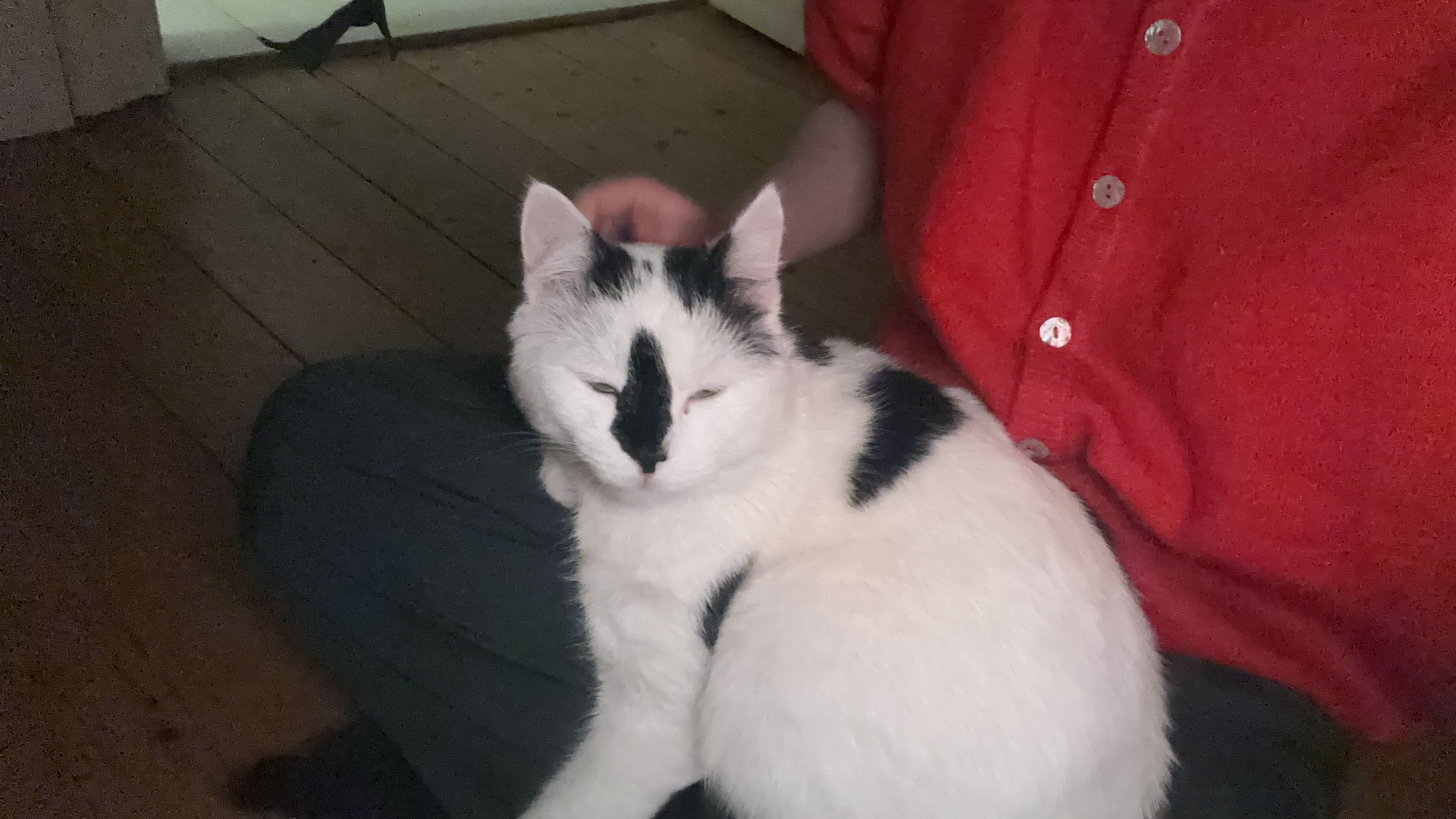 image-6