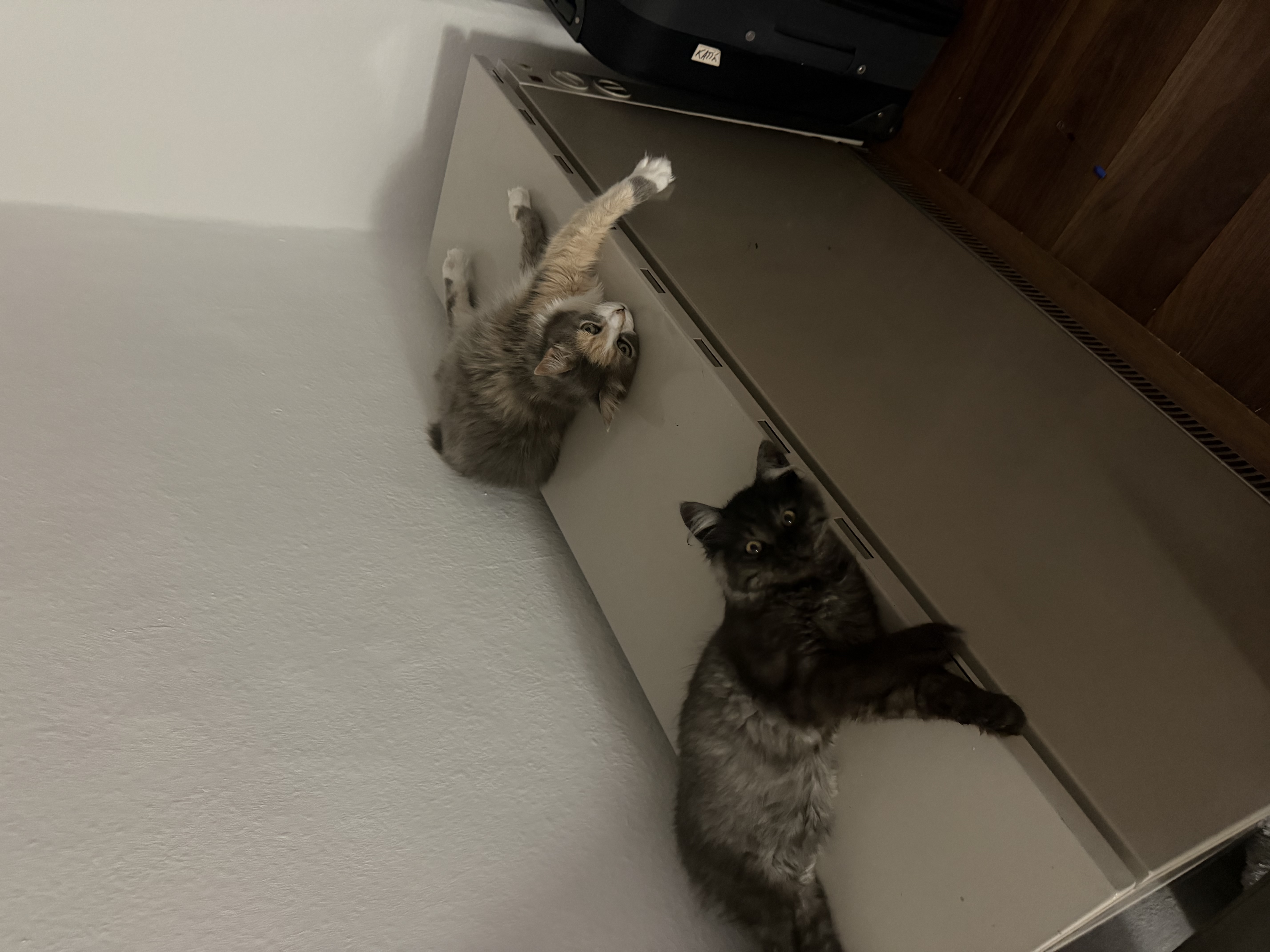 image-8