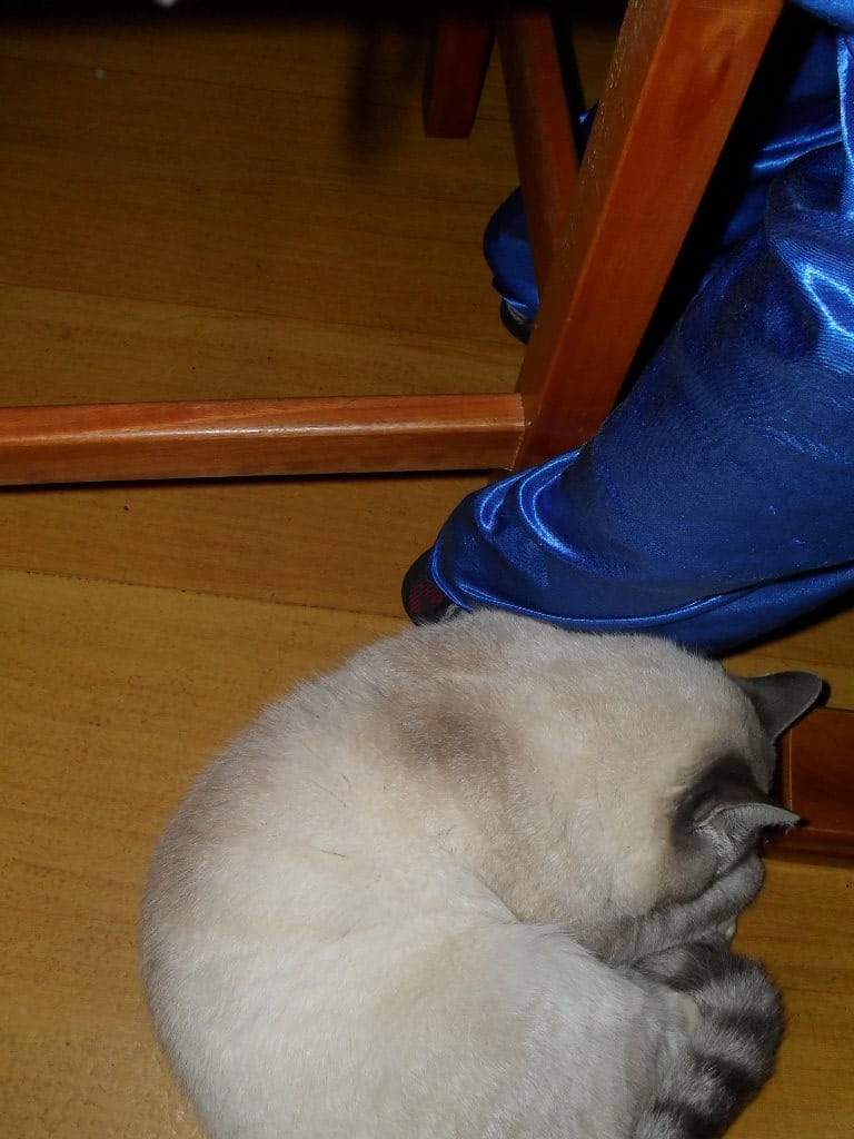 image-3