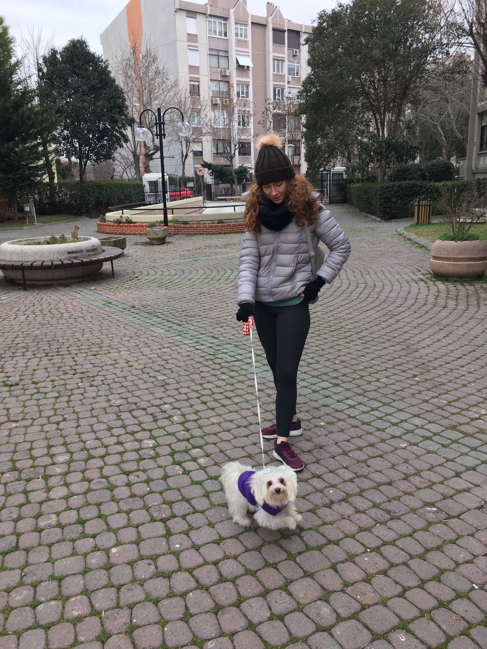 image-11