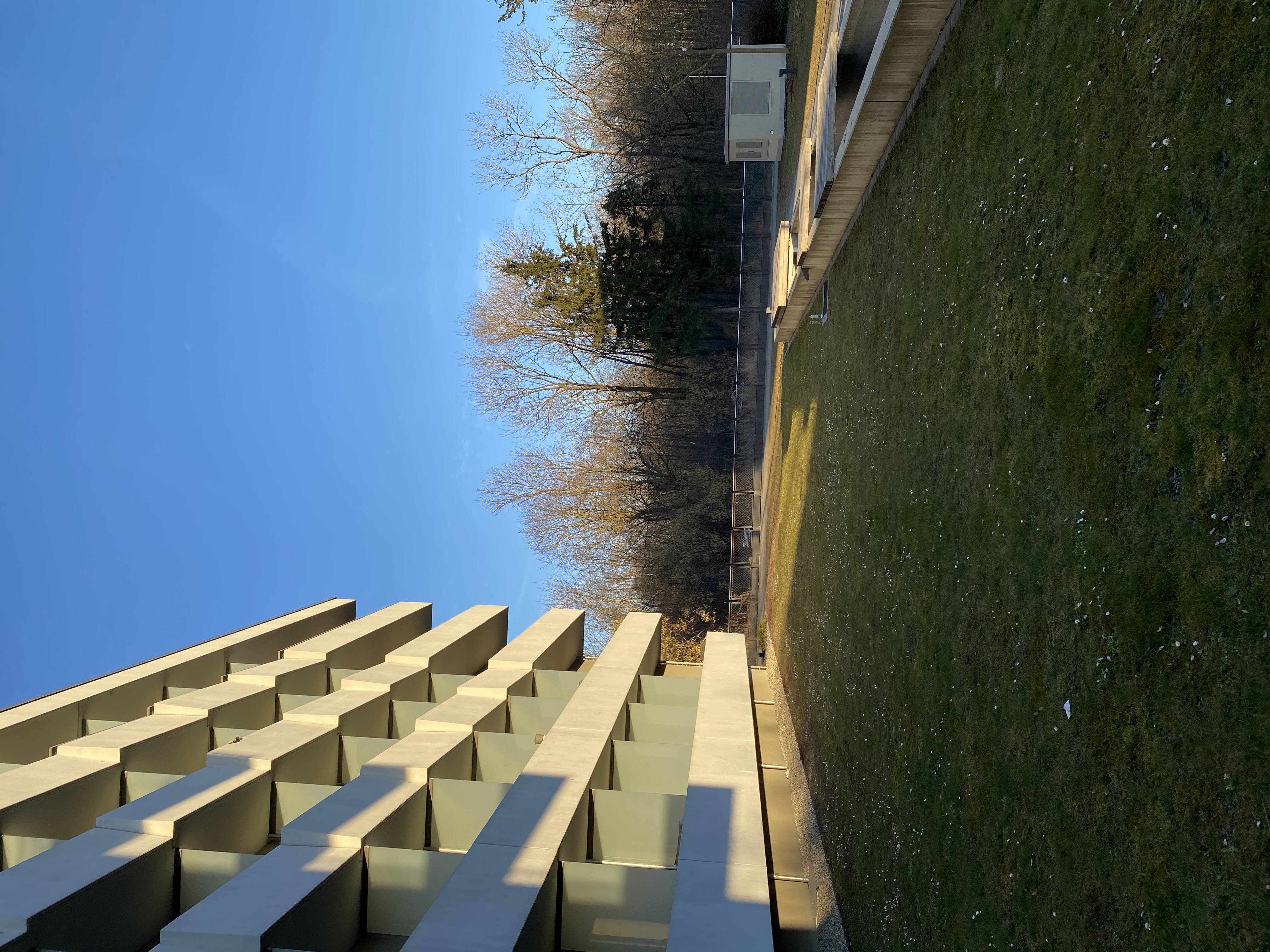 image-17