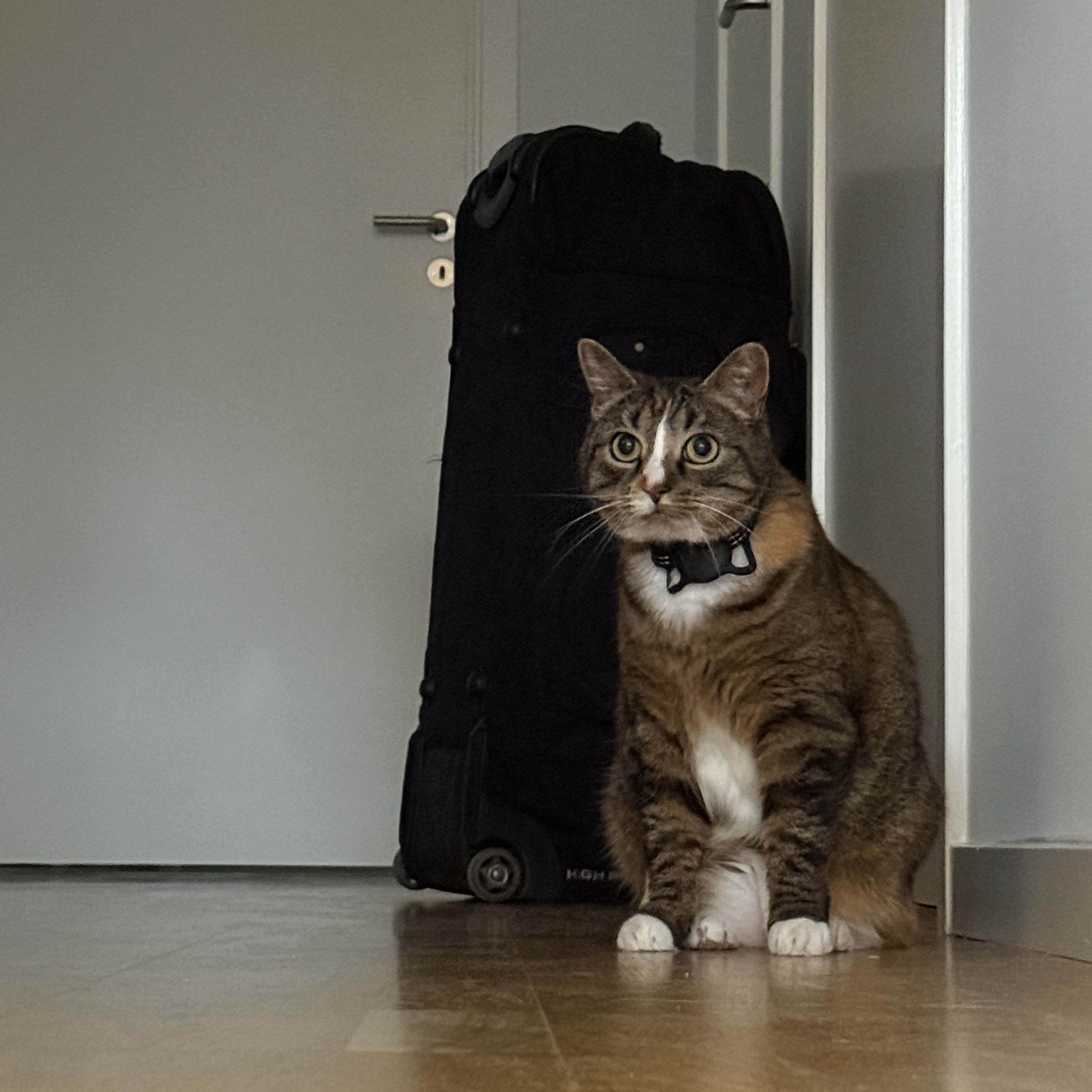 Miiv