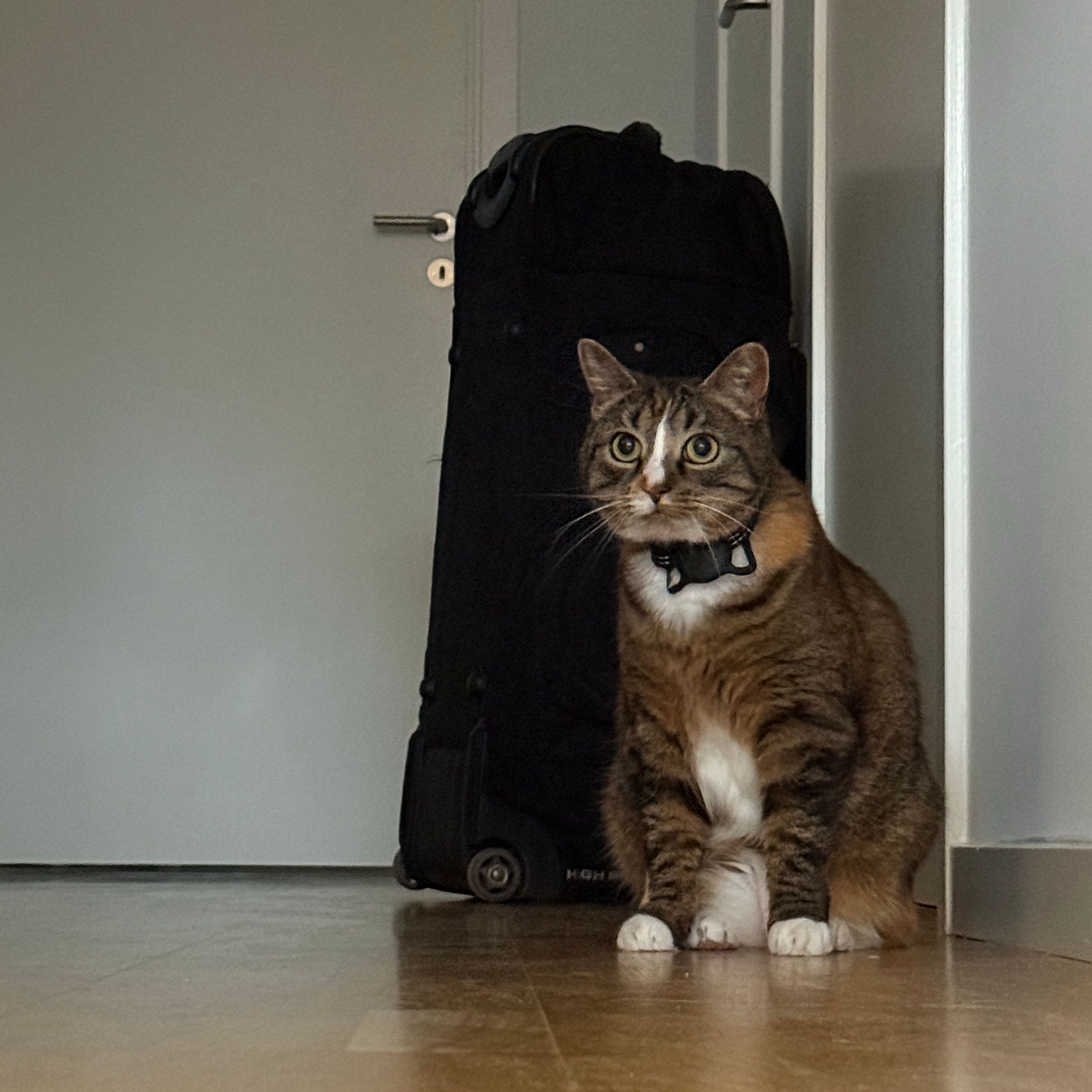 Miiv