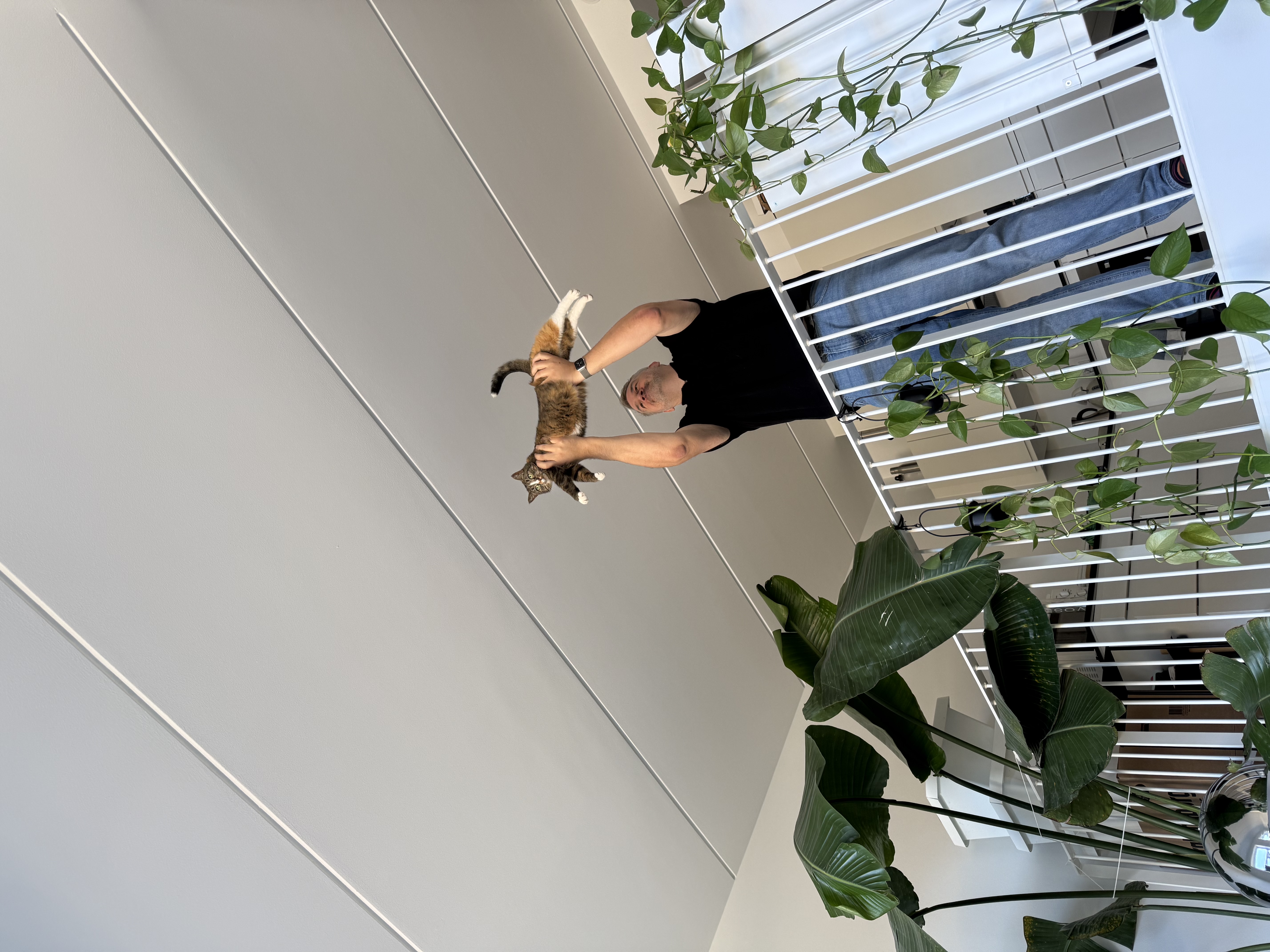 image-5