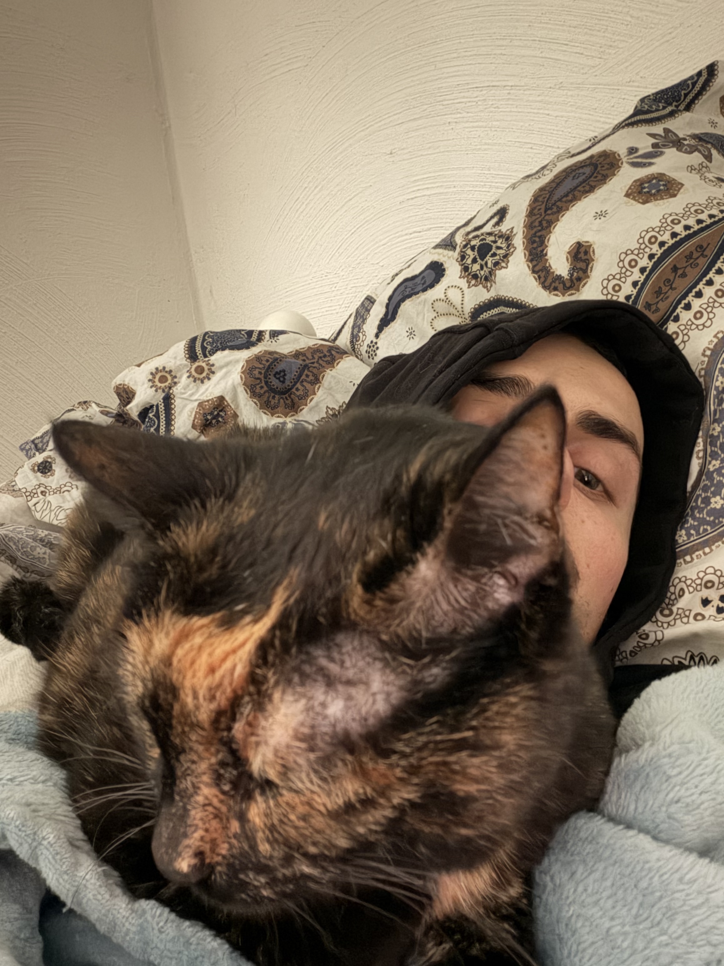 image-7