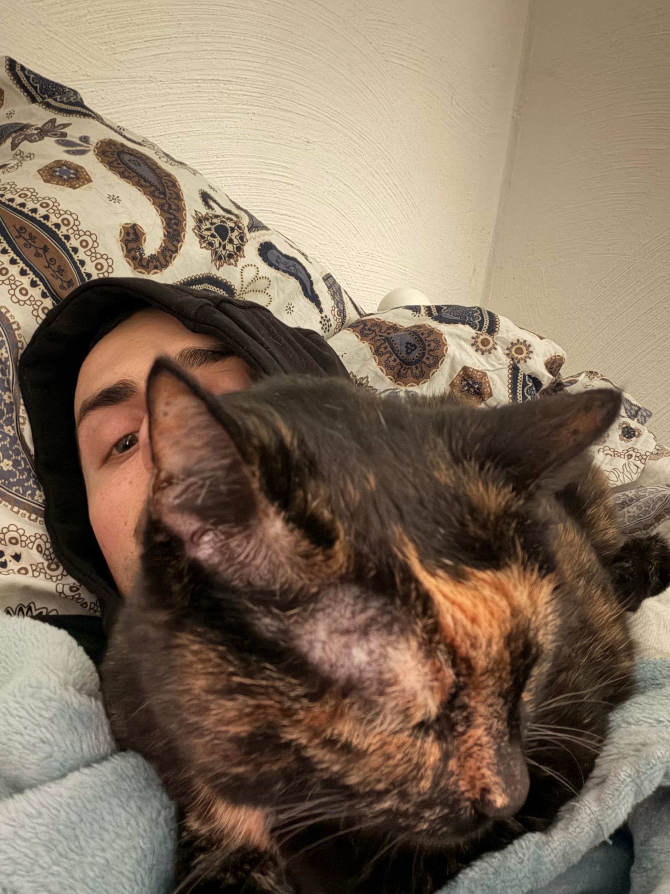 image-7