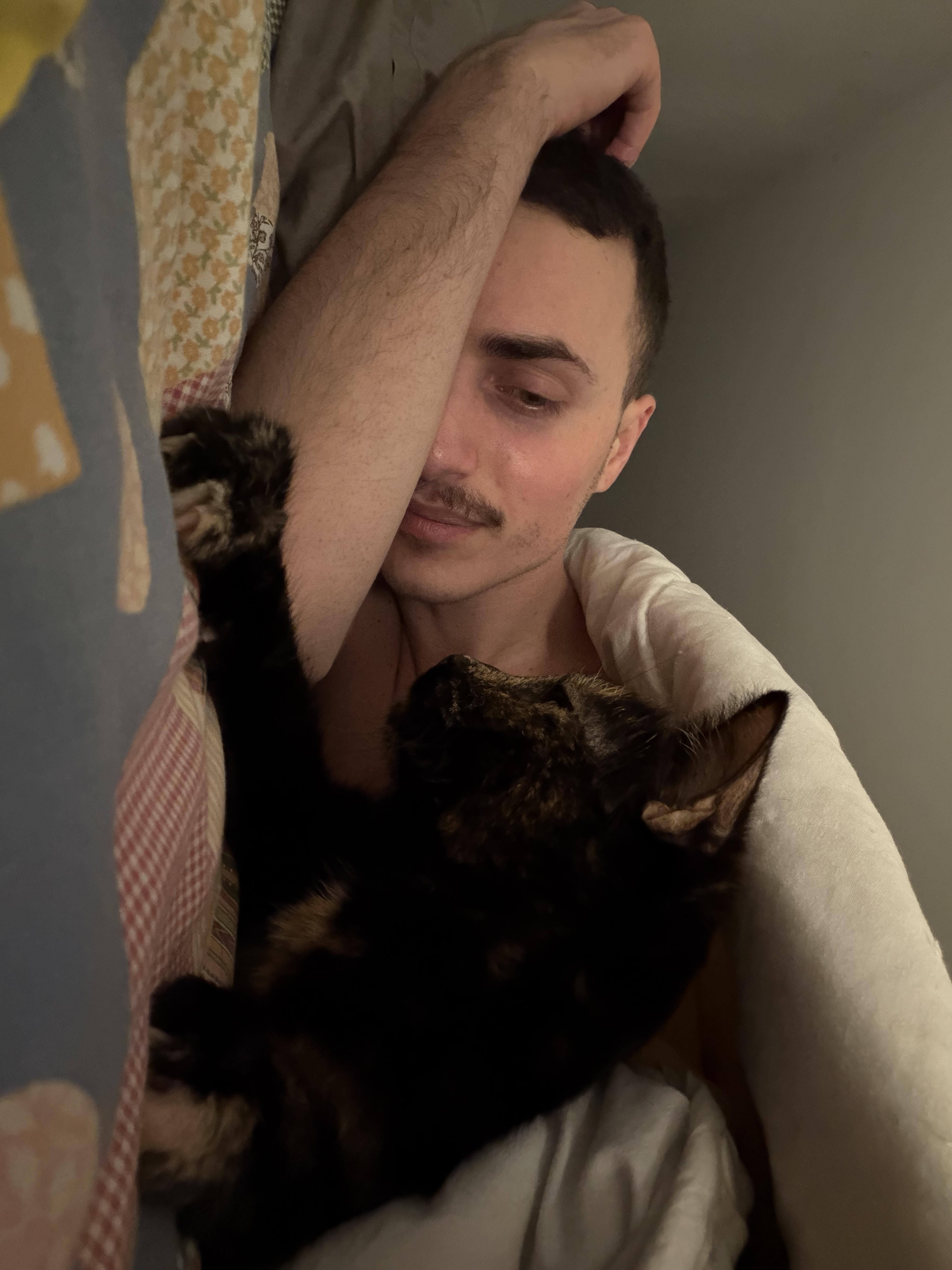 image-8