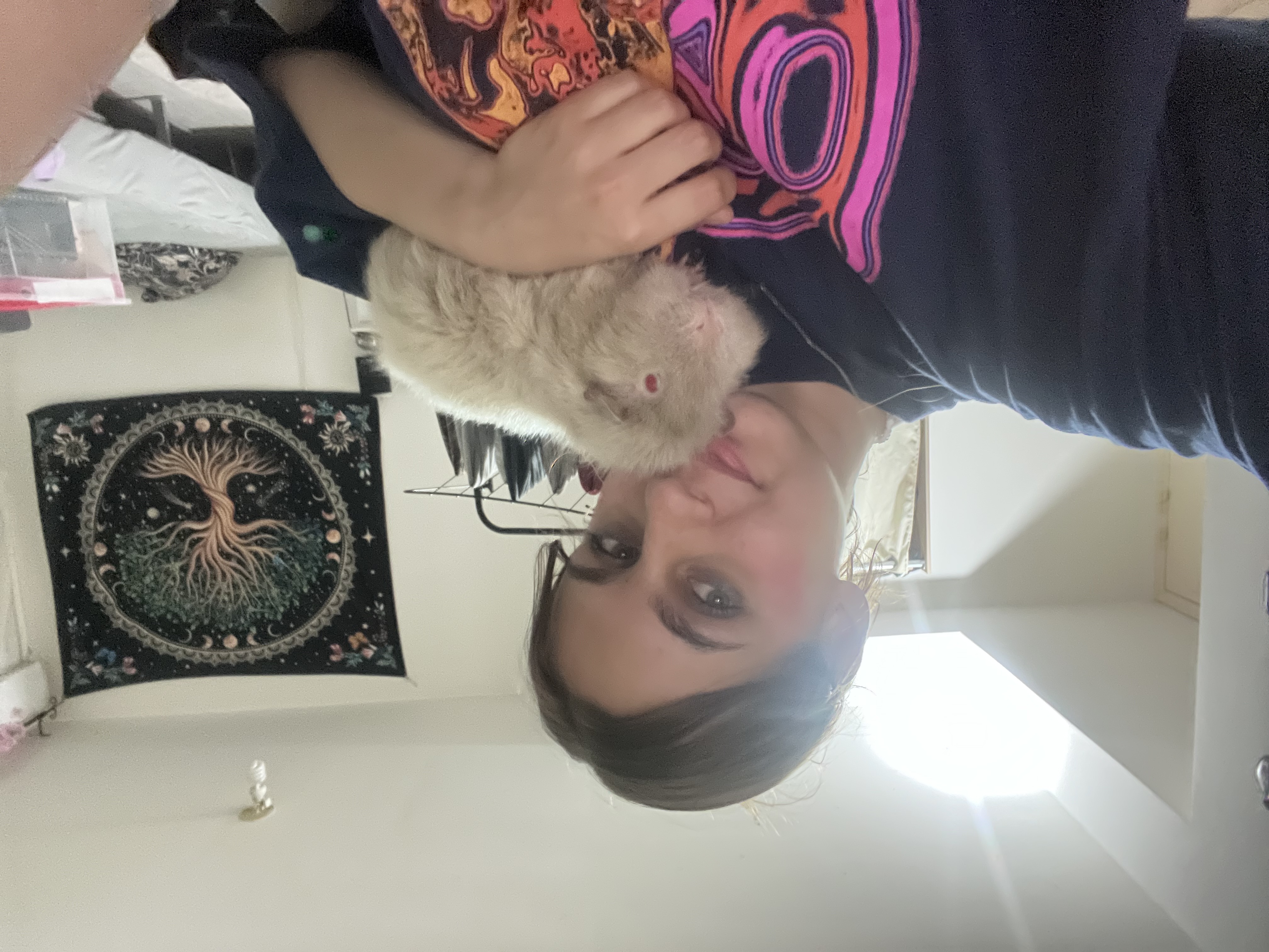 image-2