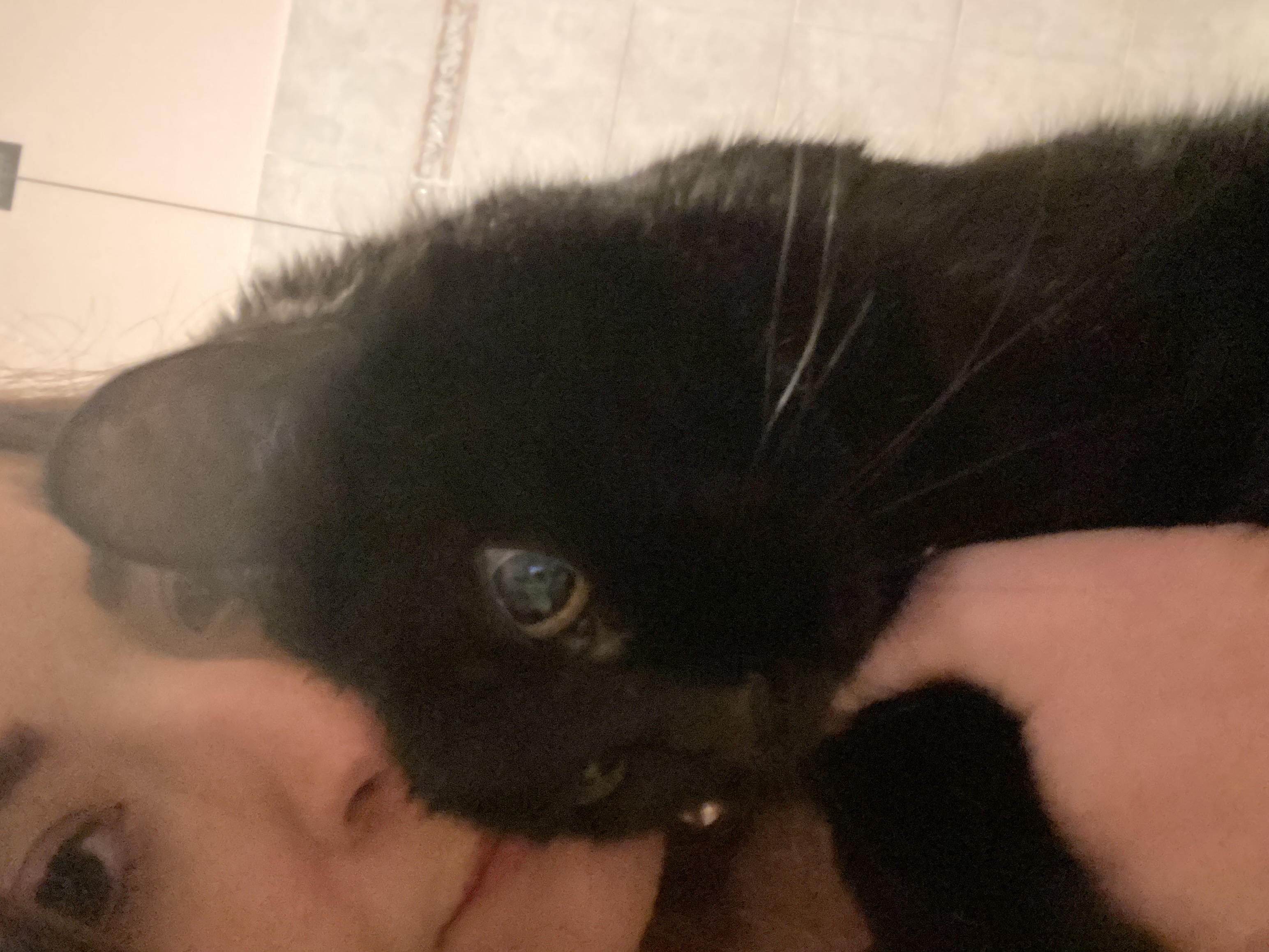 image-6