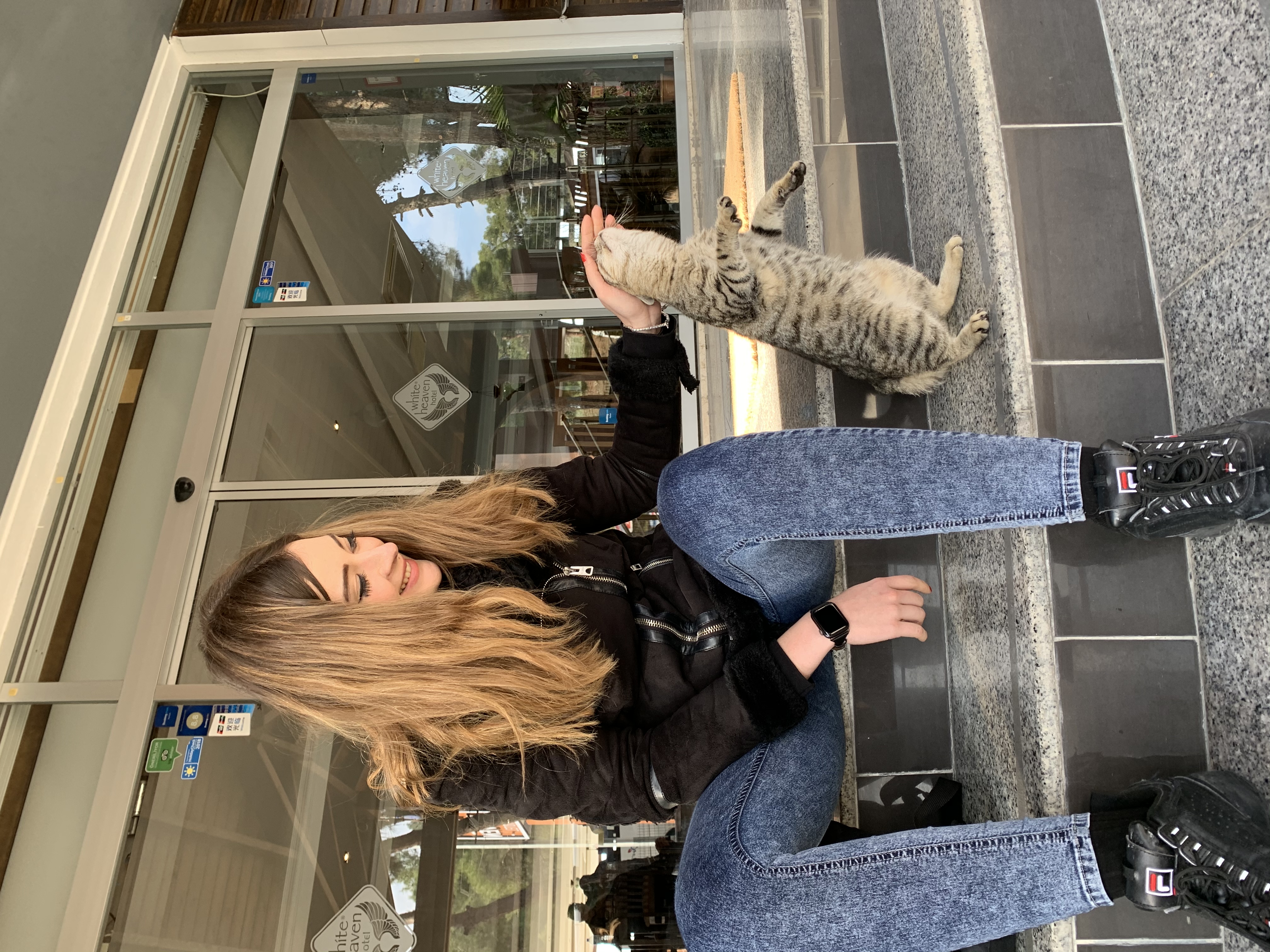 image-12