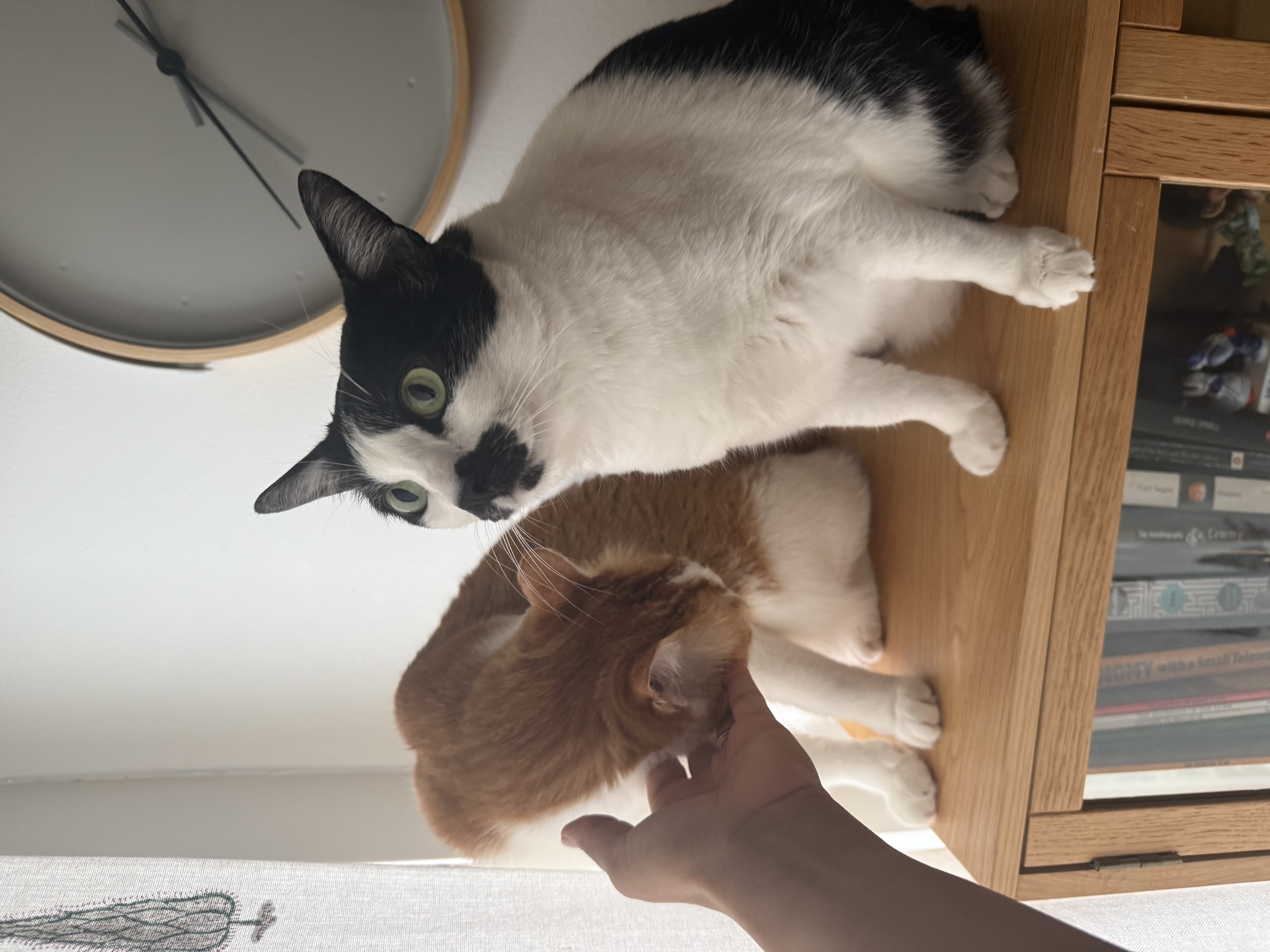 image-6