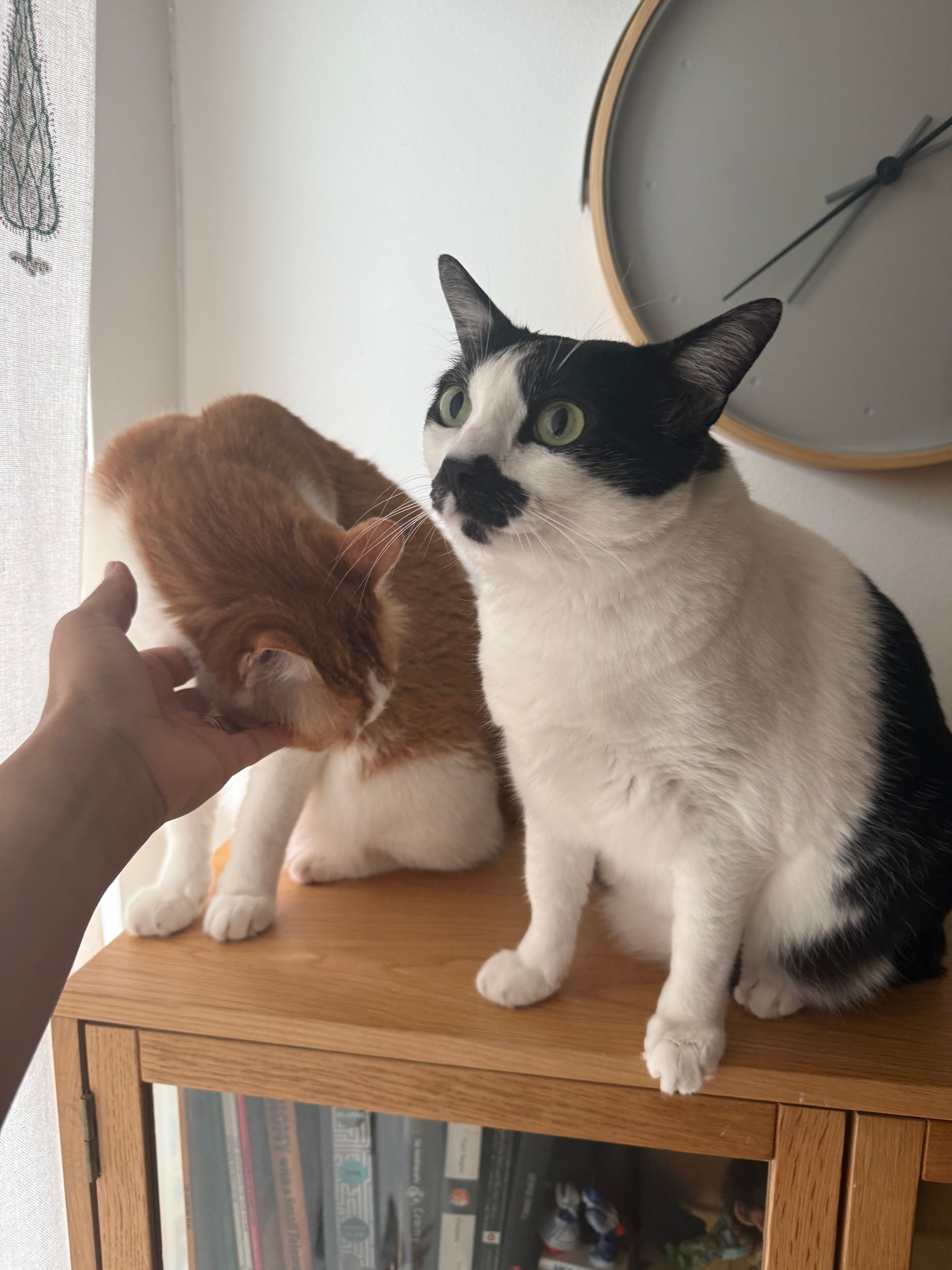 image-6