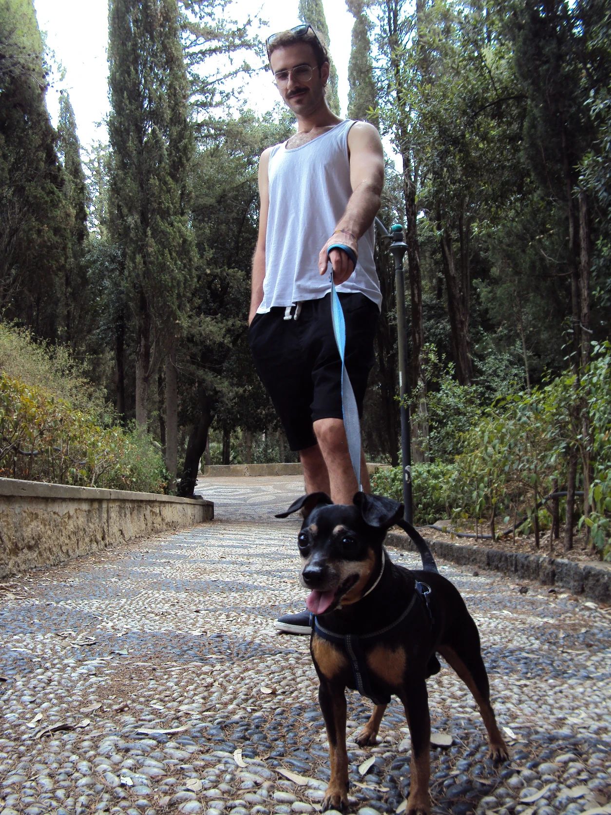 image-10
