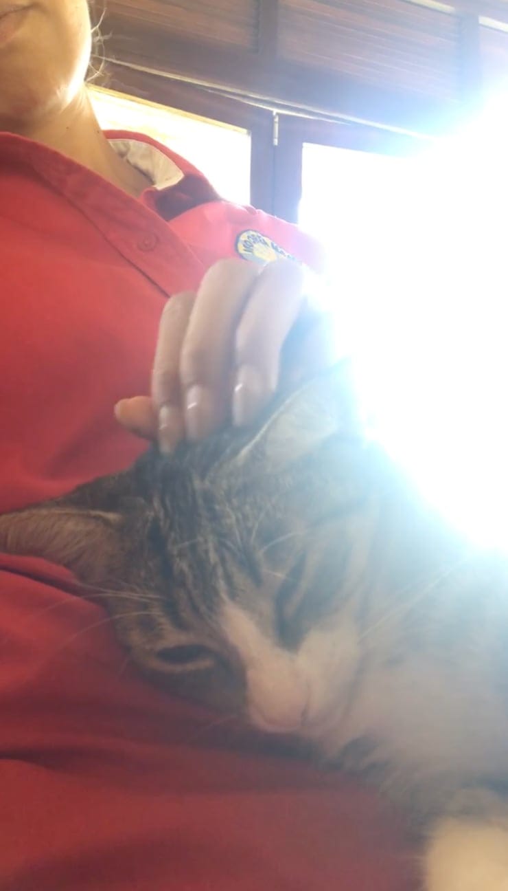image-8