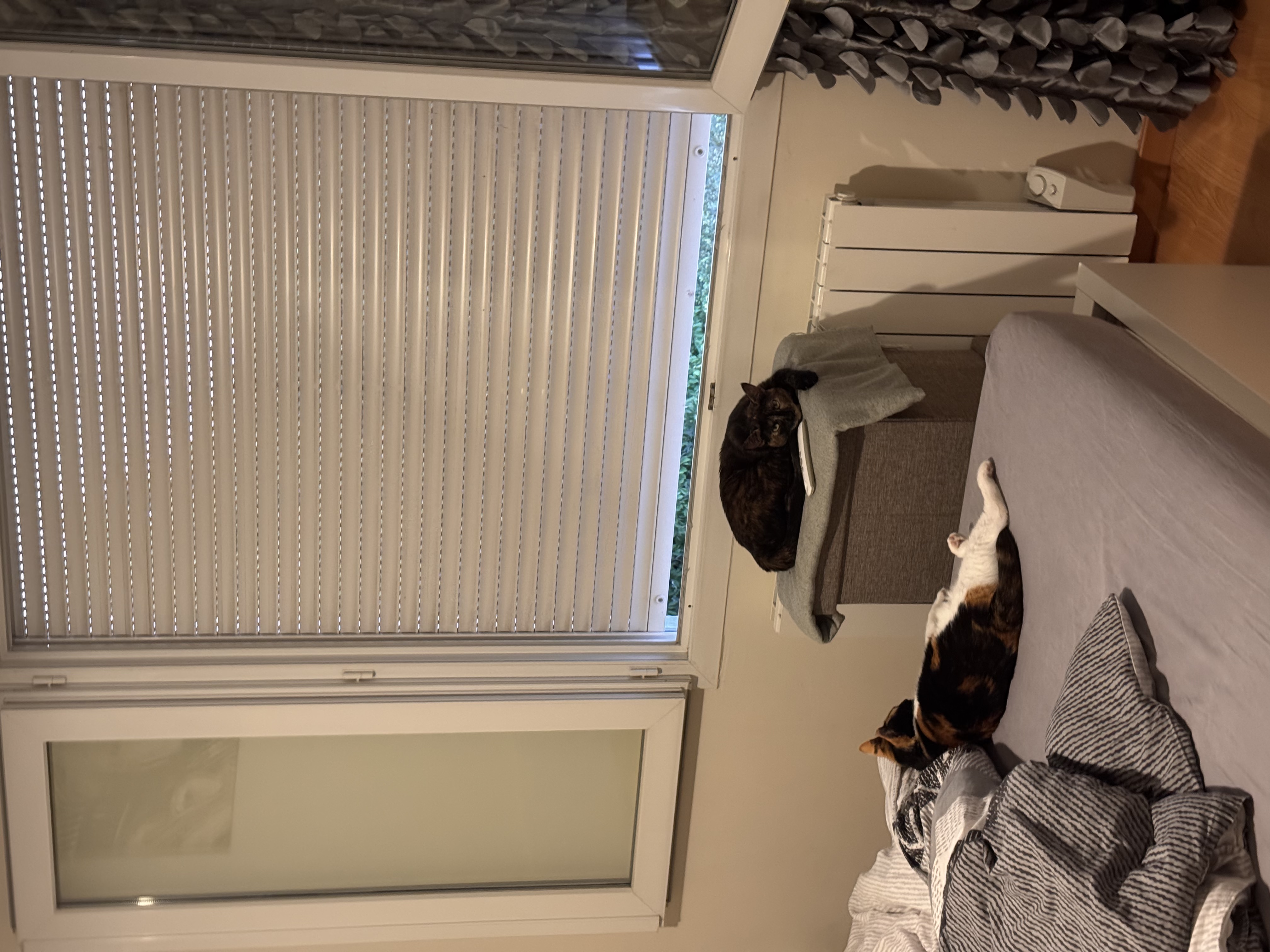 image-15