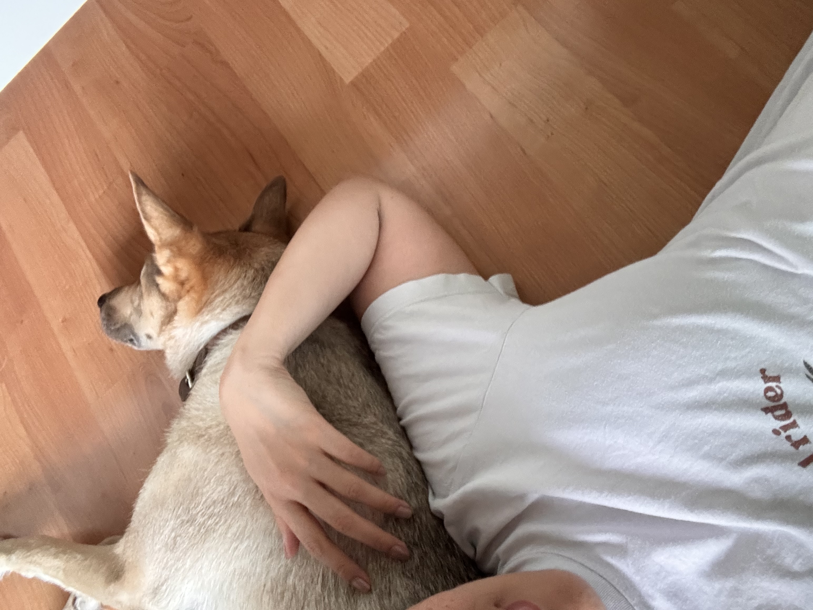 image-16