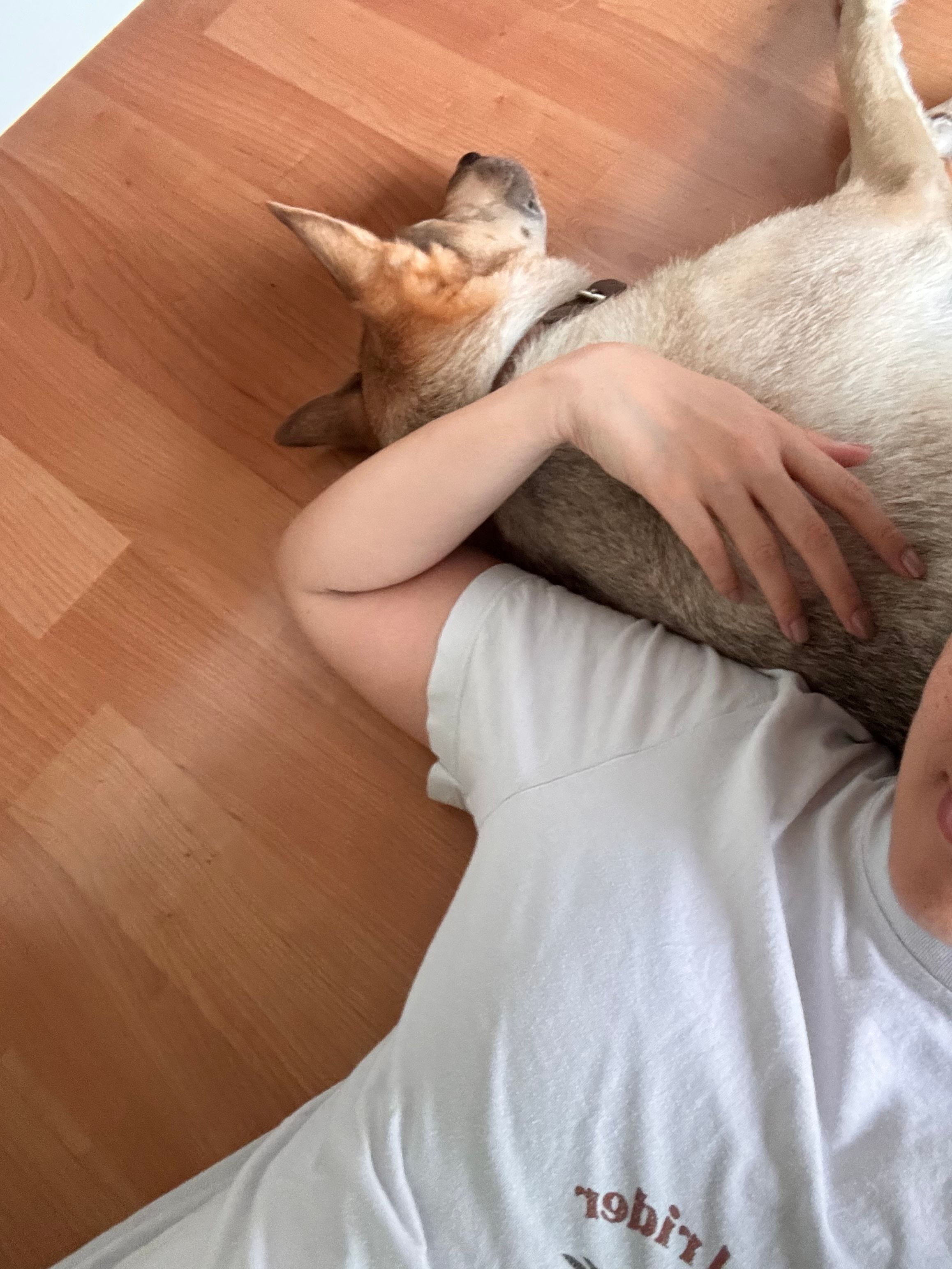 image-16