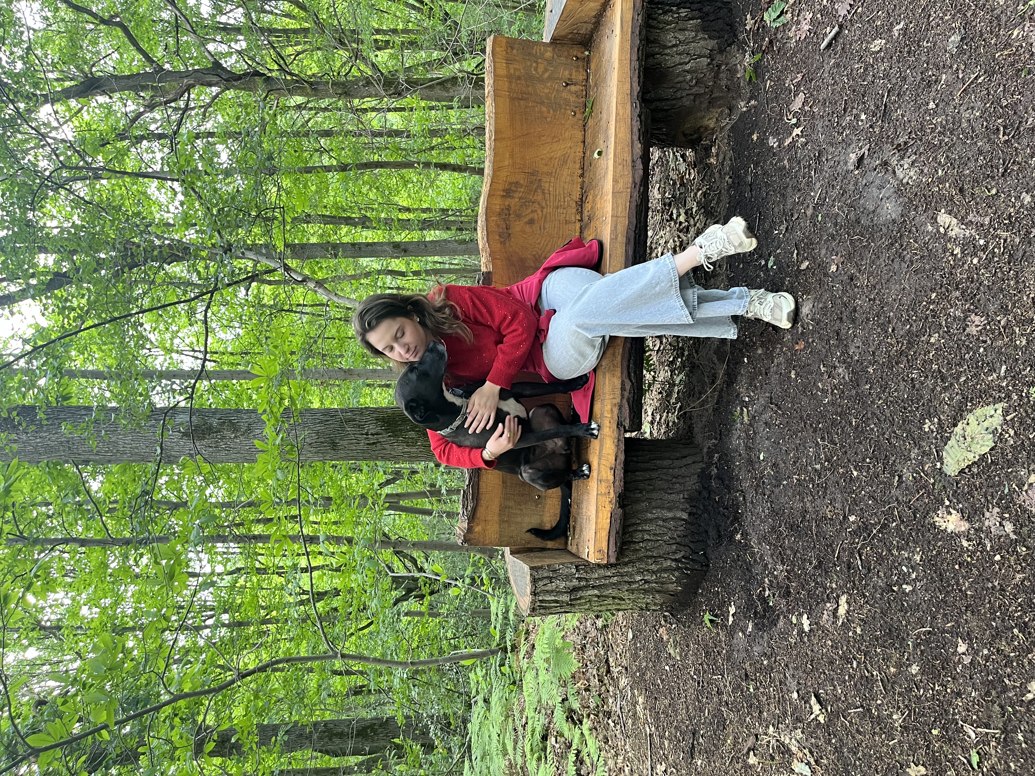 image-11