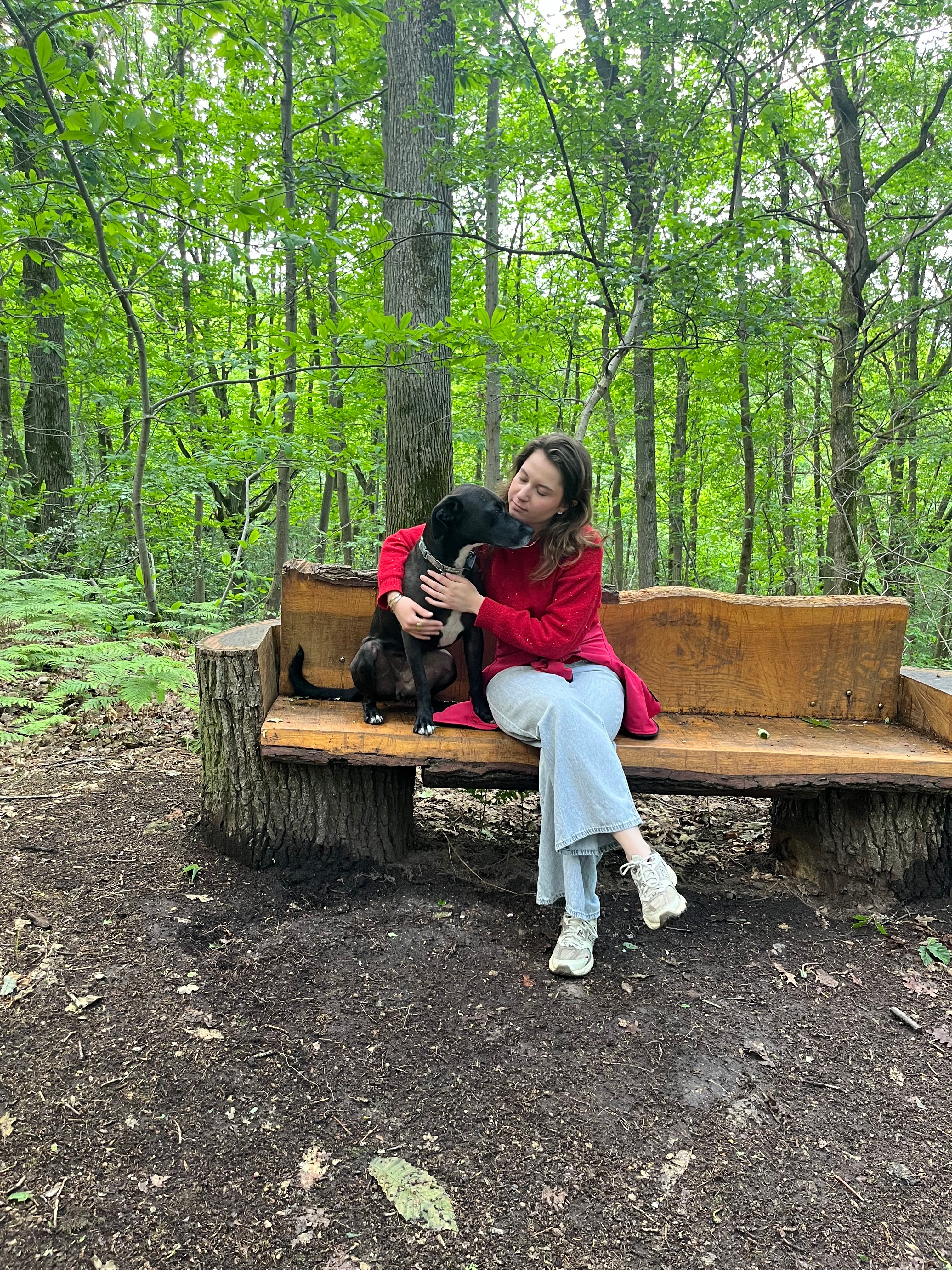 image-11