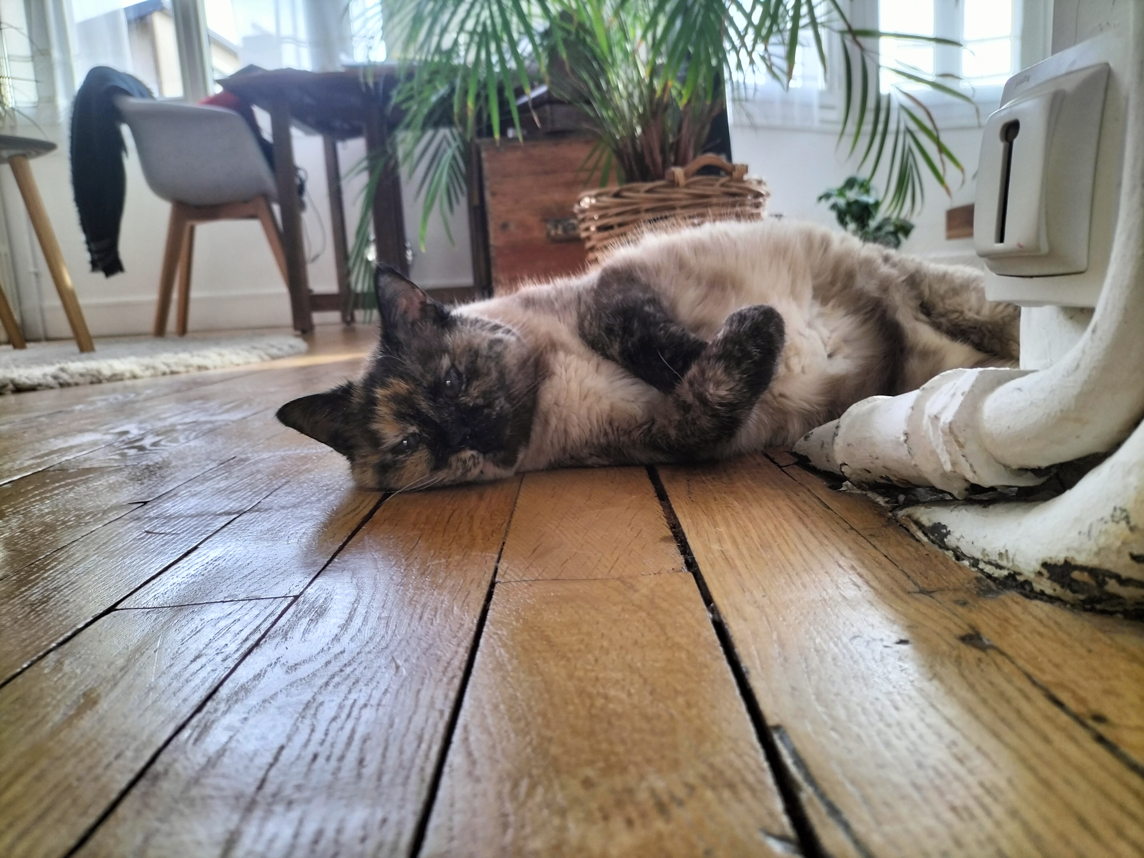 image-5