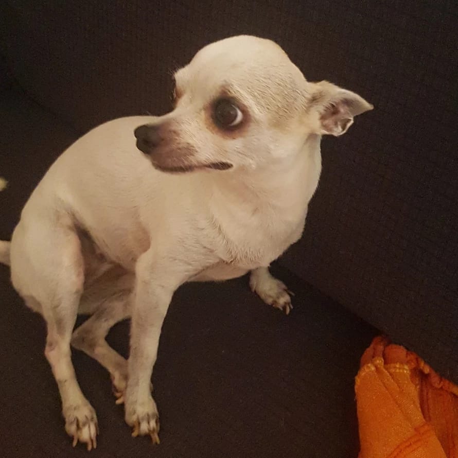 zoe