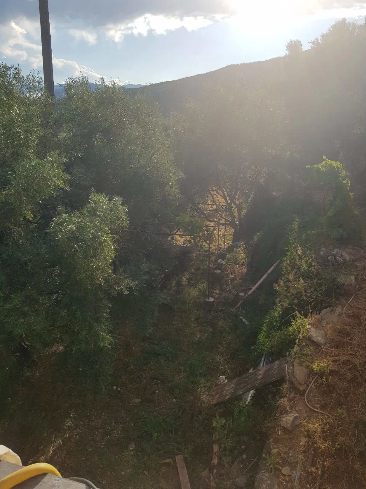 image-15