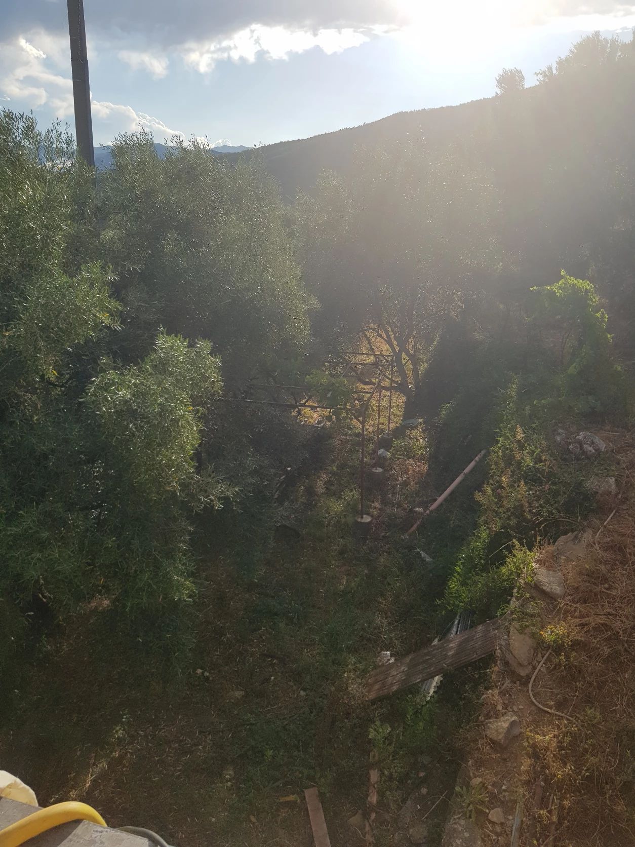 image-15