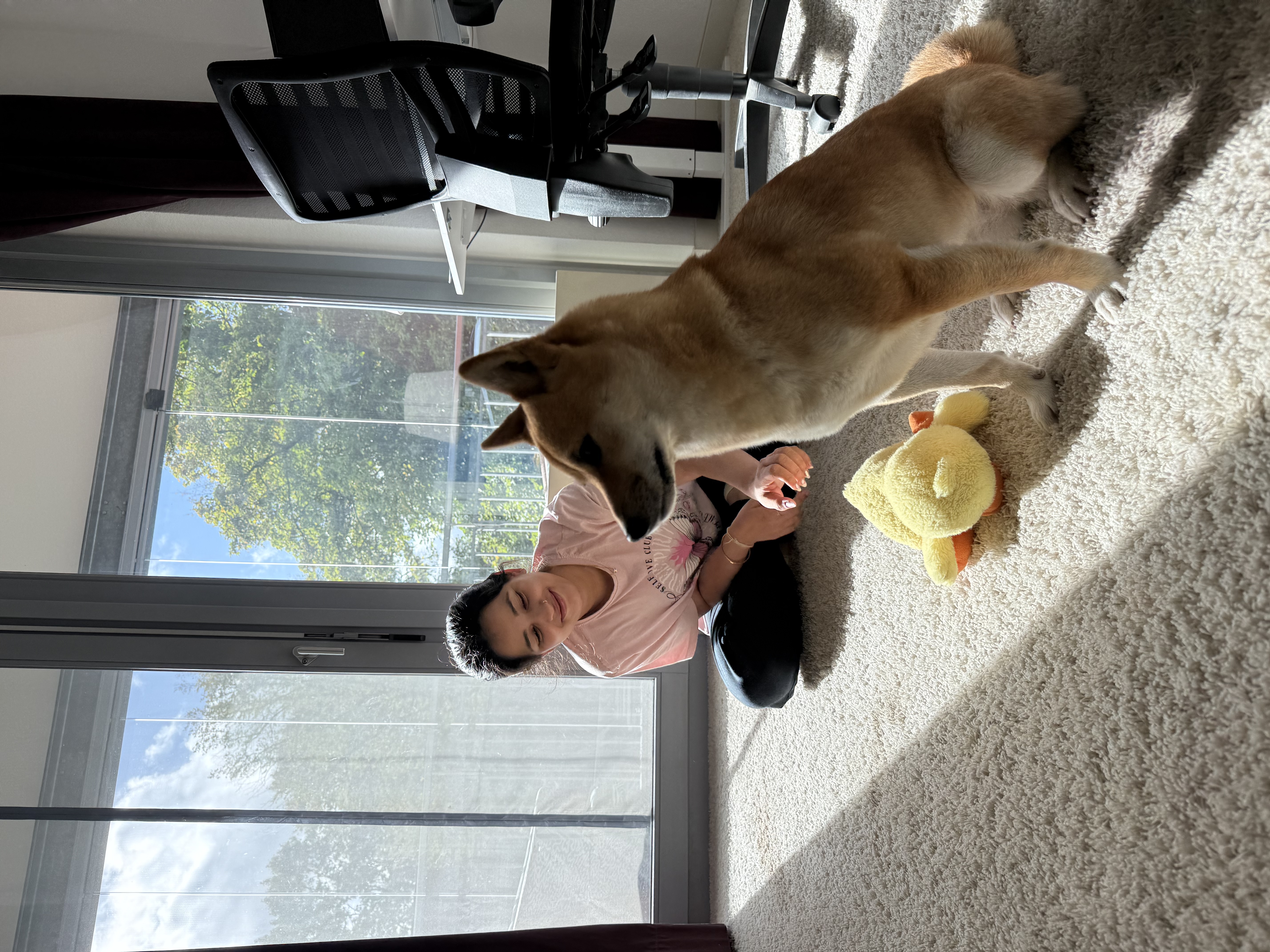 image-9