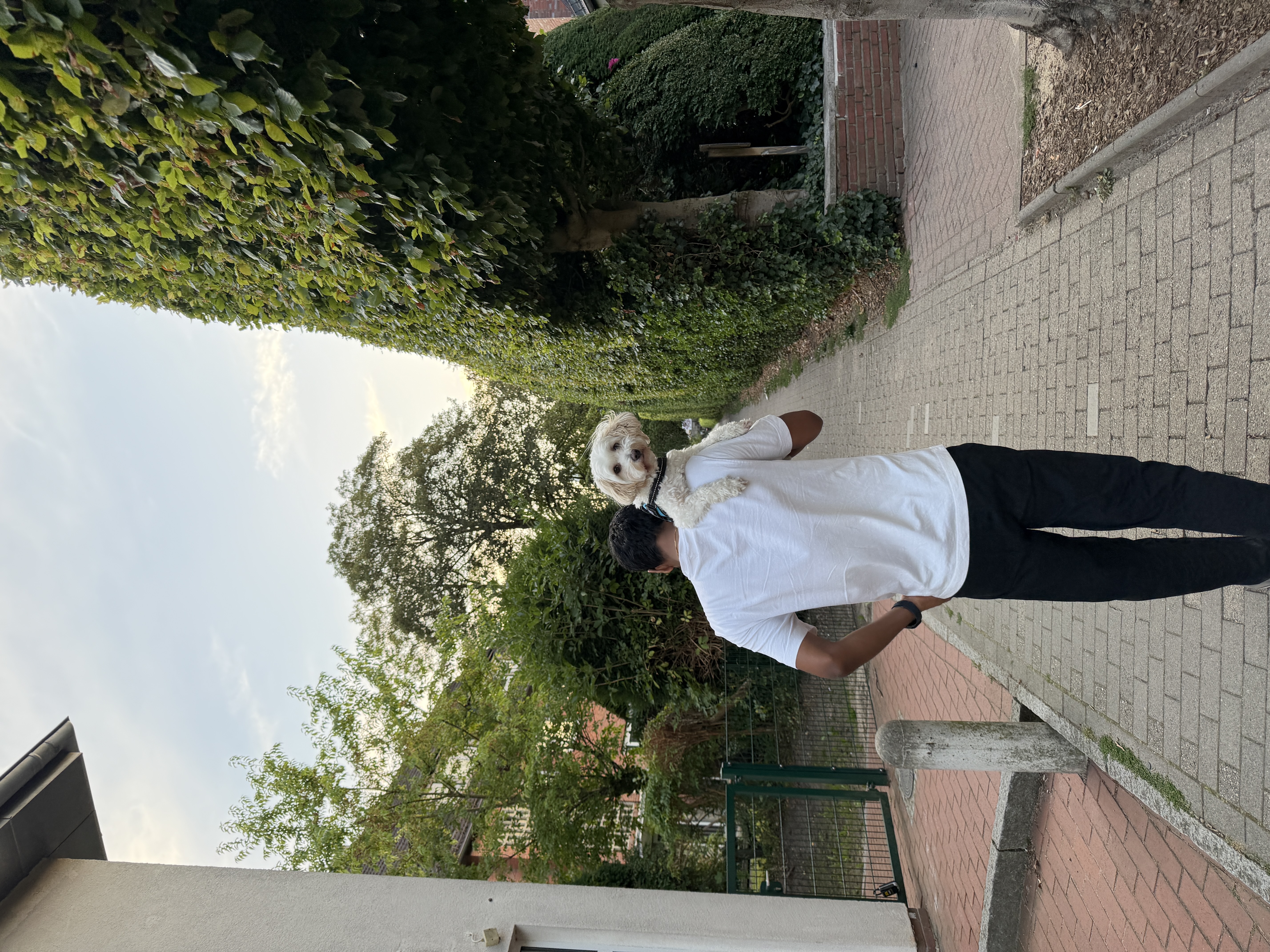 image-14