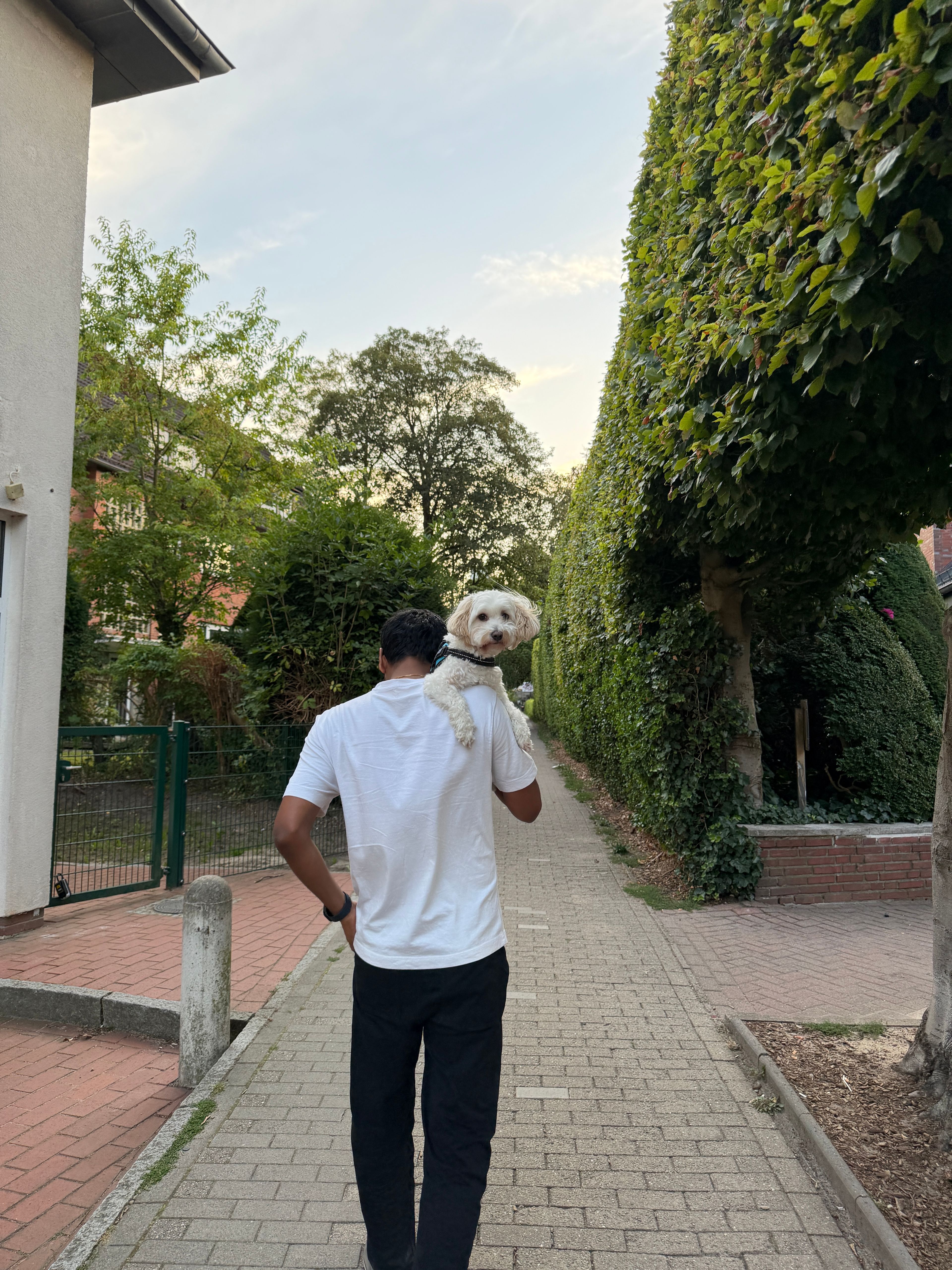 image-14