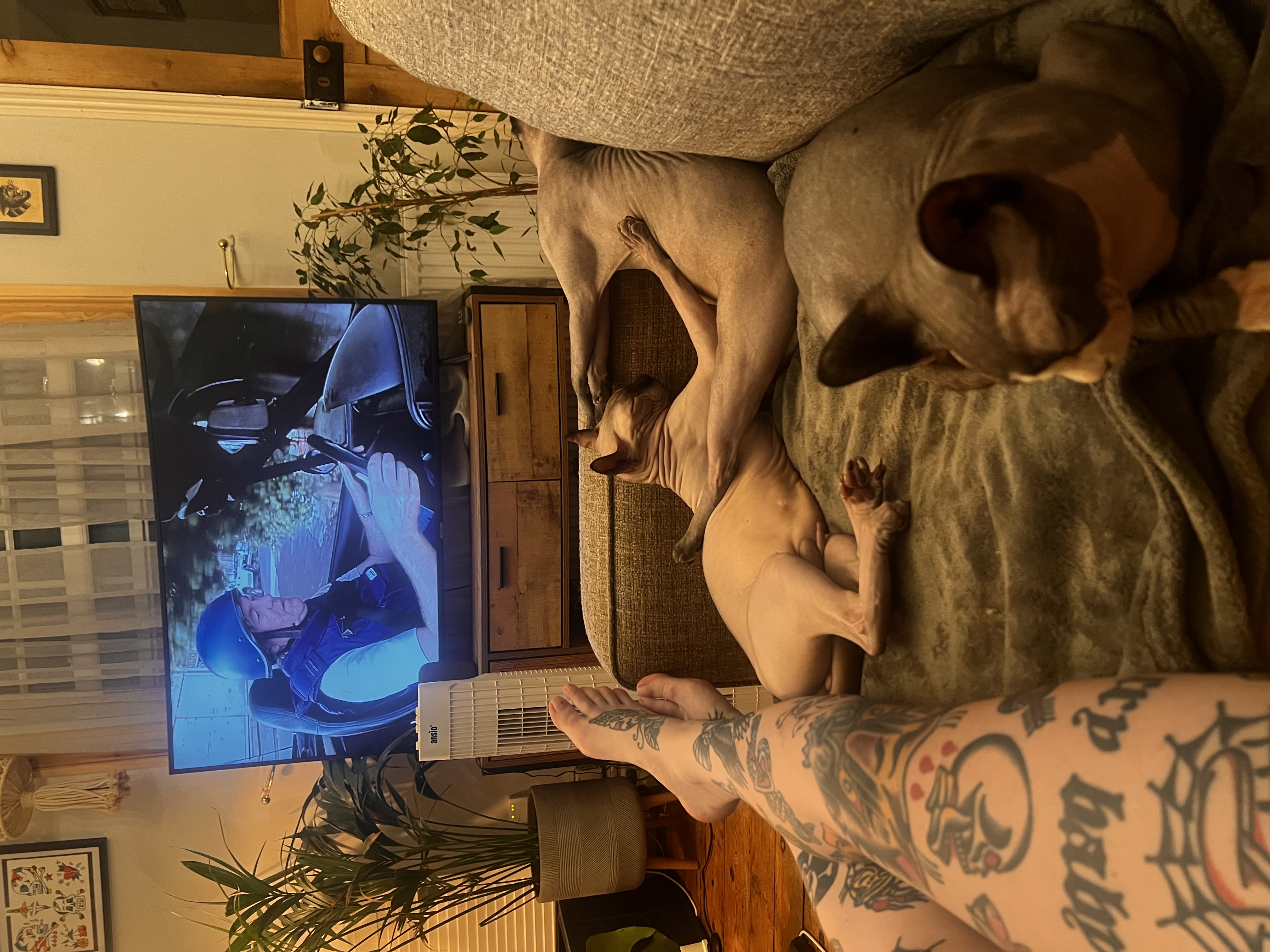 image-8