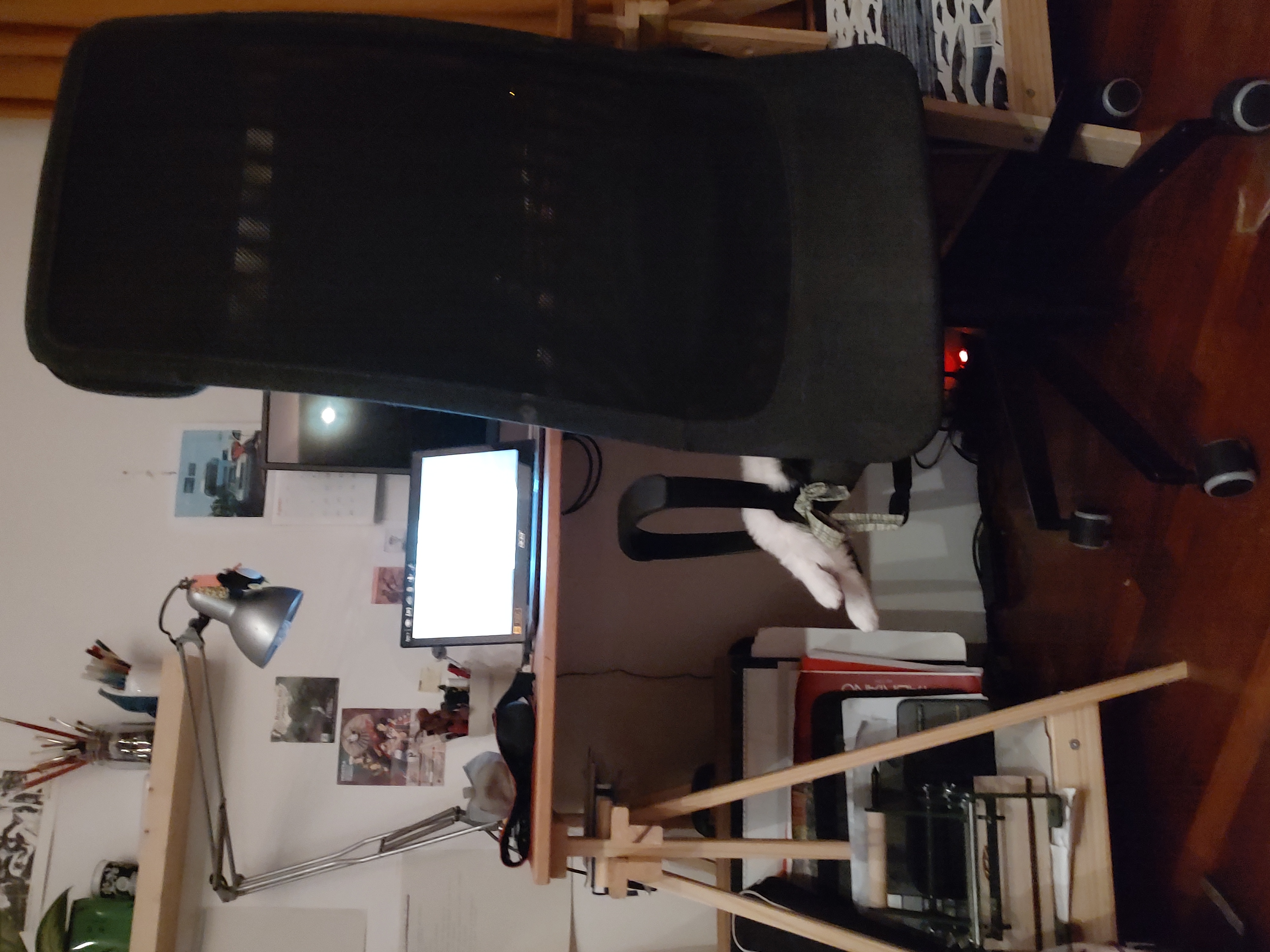 image-16