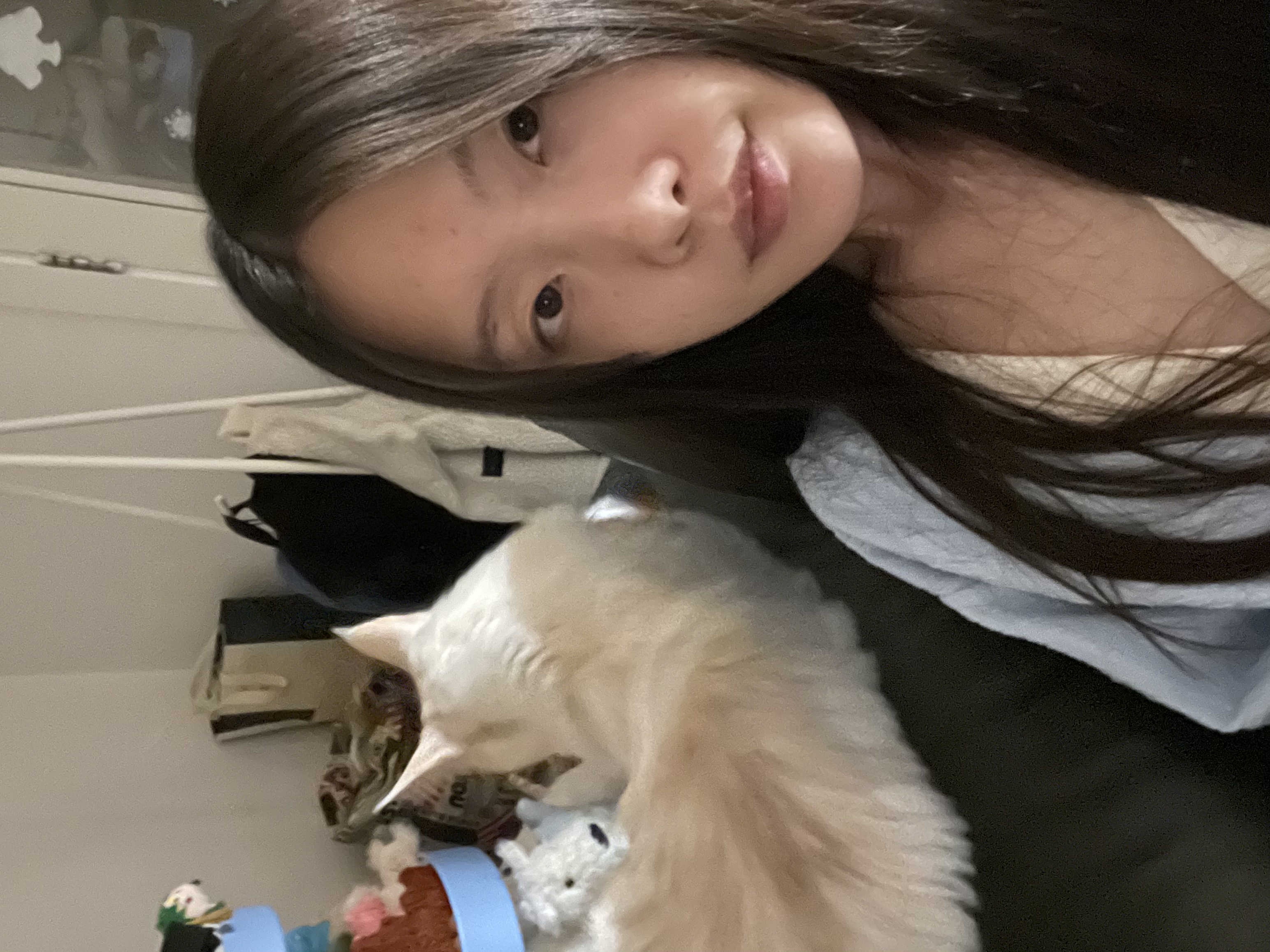 image-6