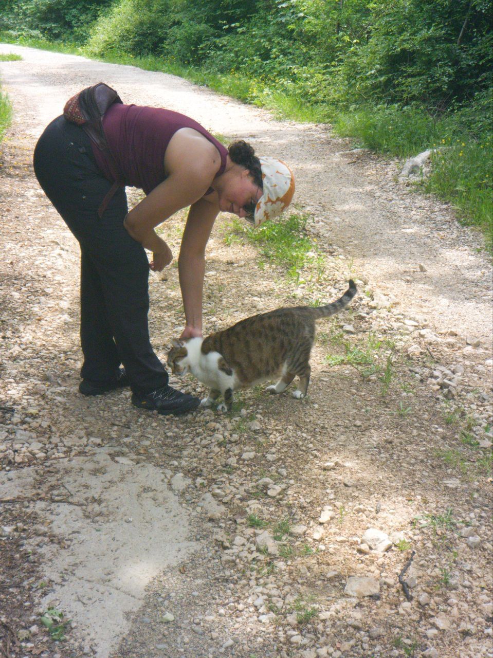image-5