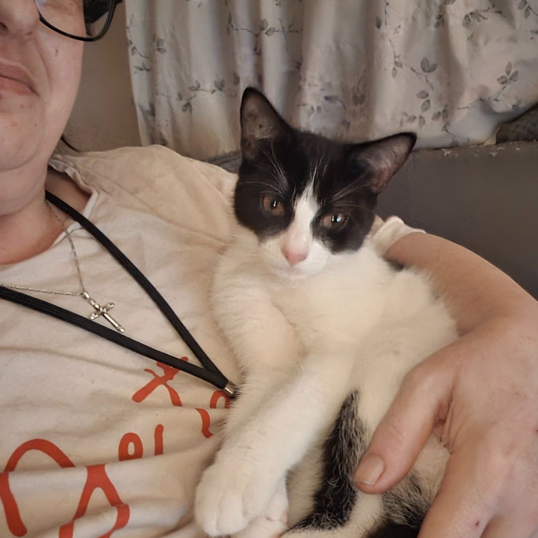 Luna