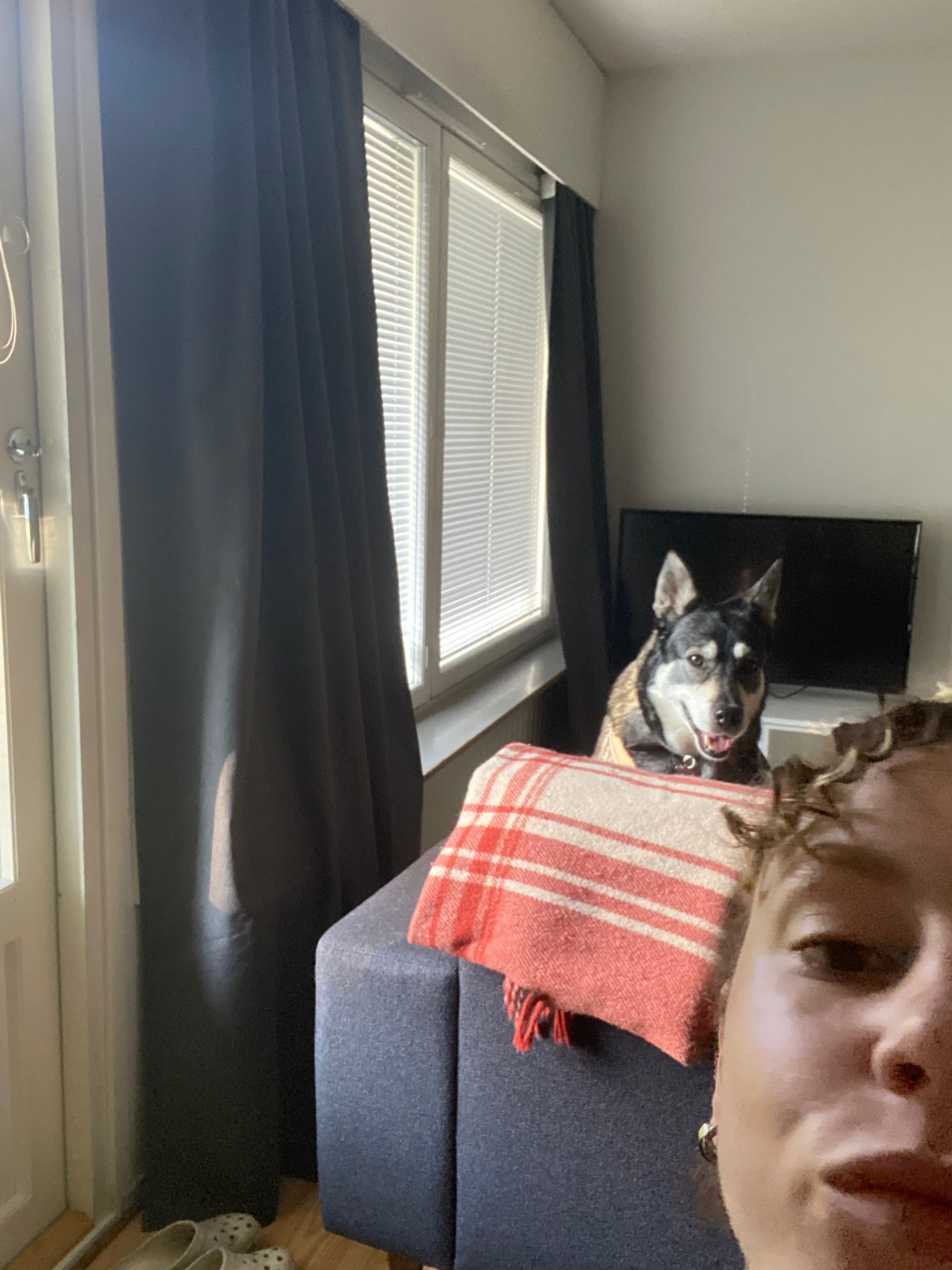 image-4