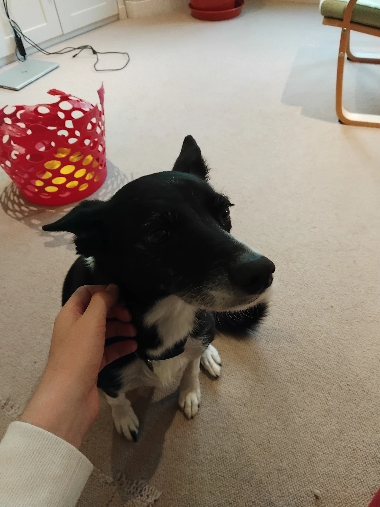 image-9