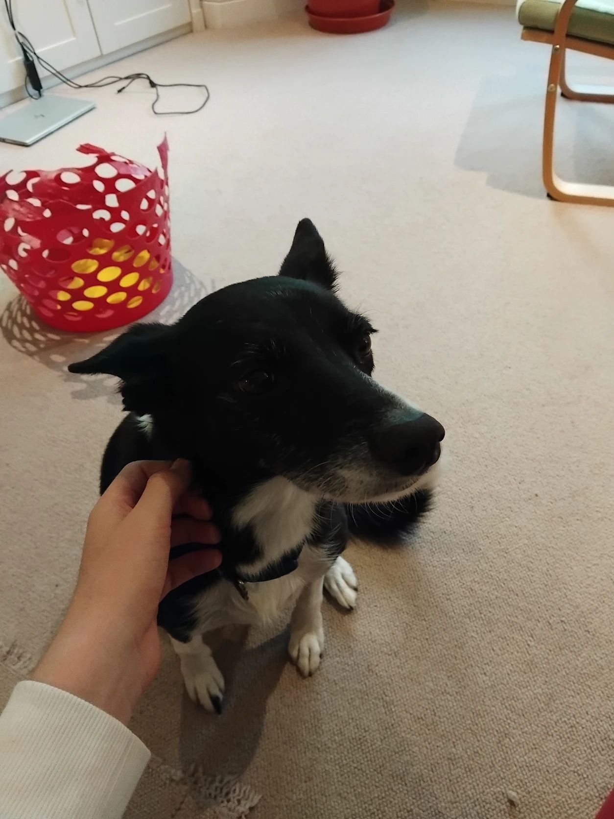 image-9