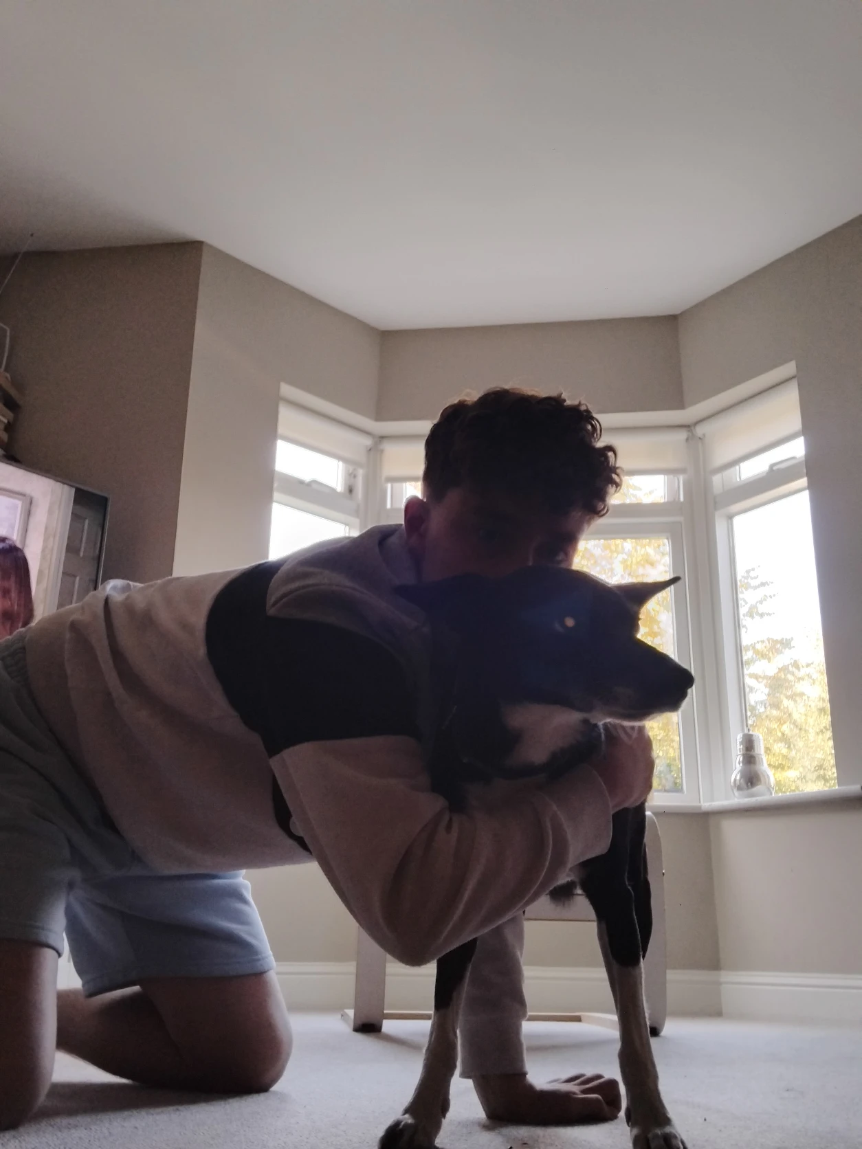 image-7