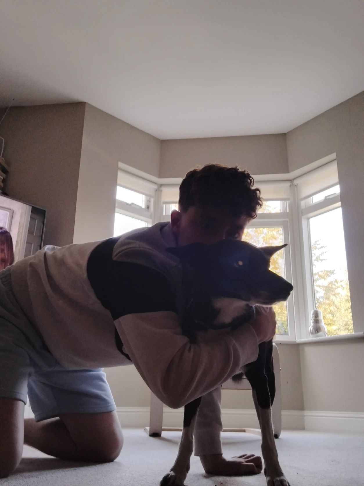 image-7