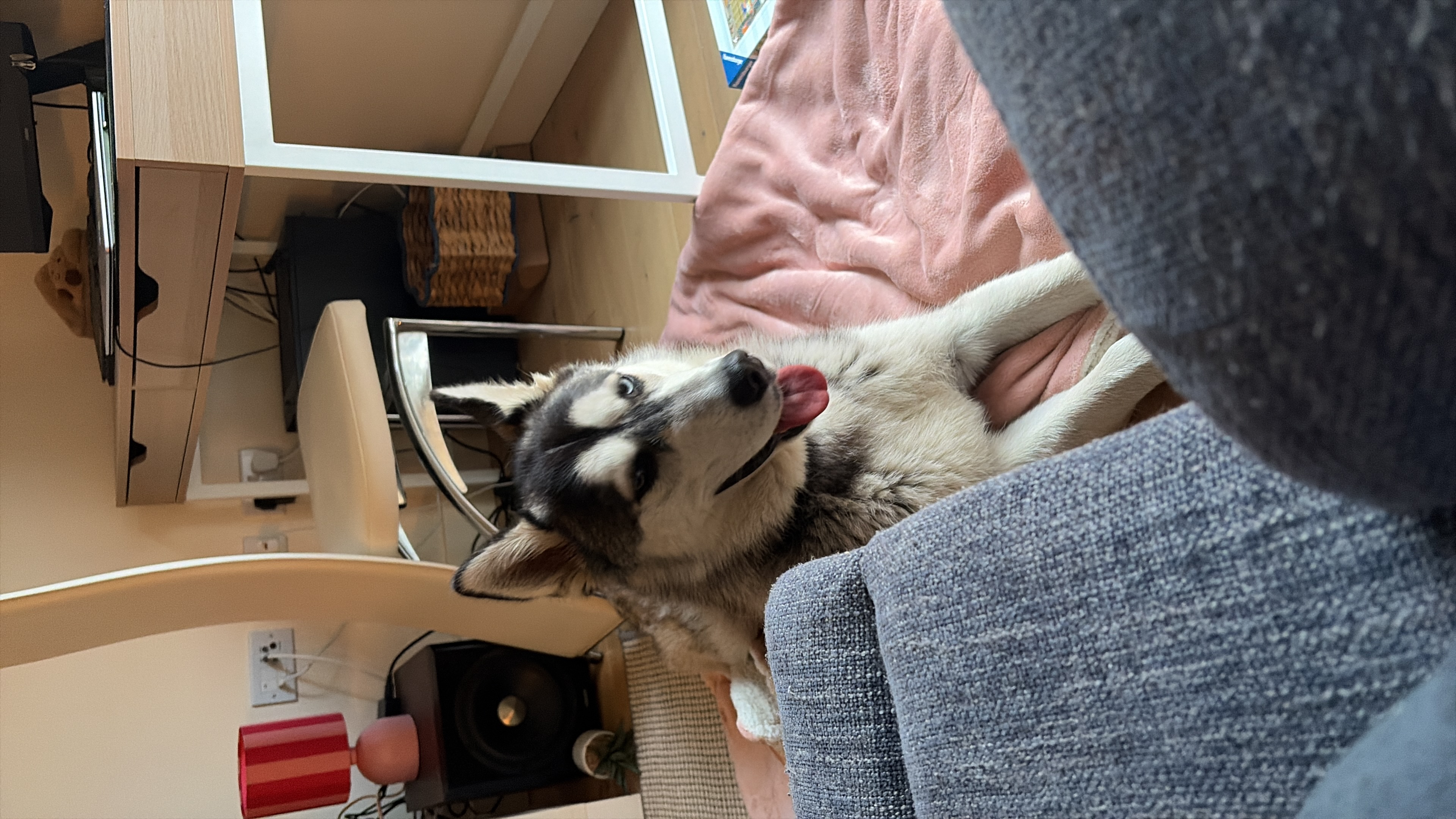 image-9