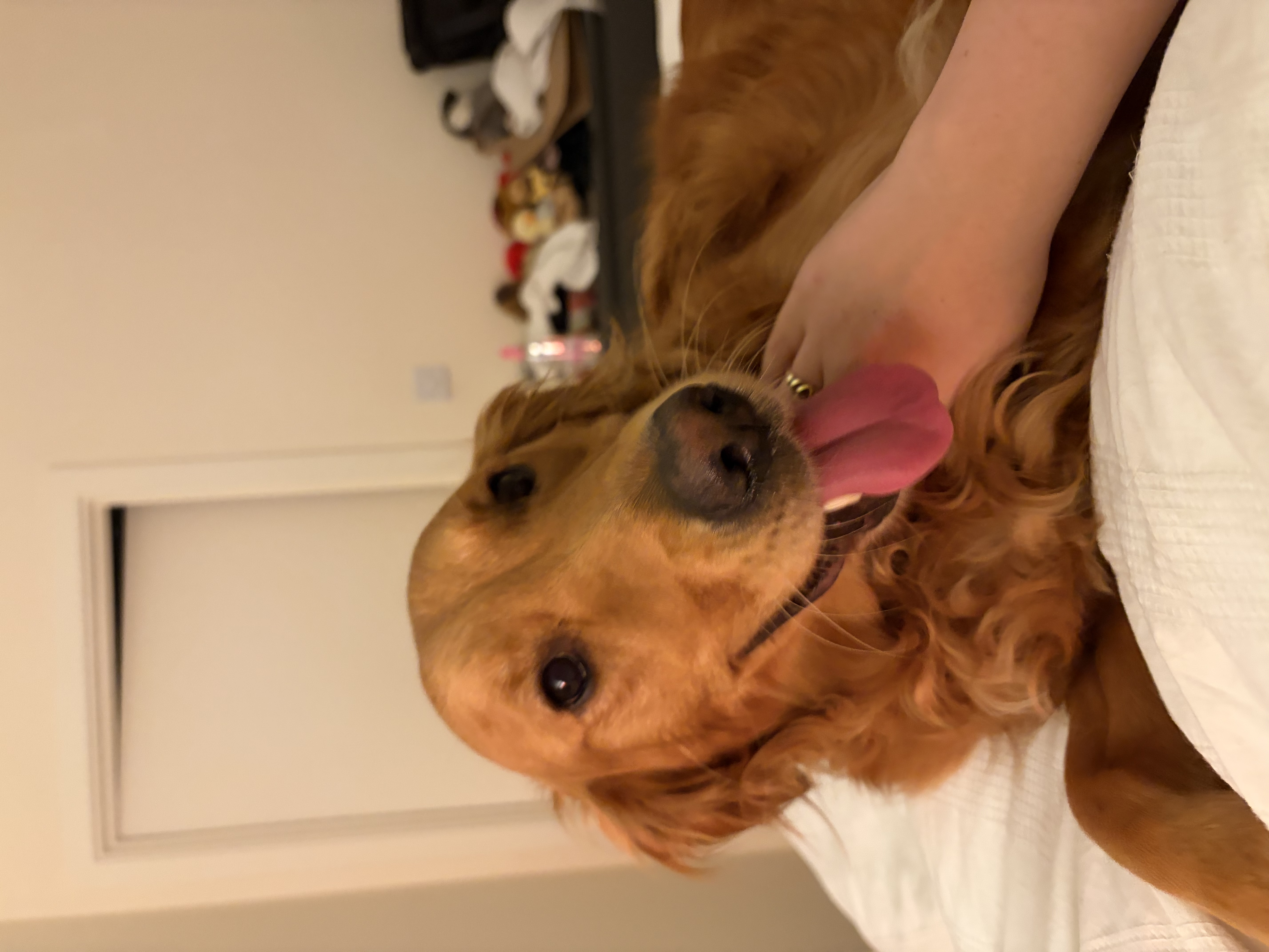 image-8