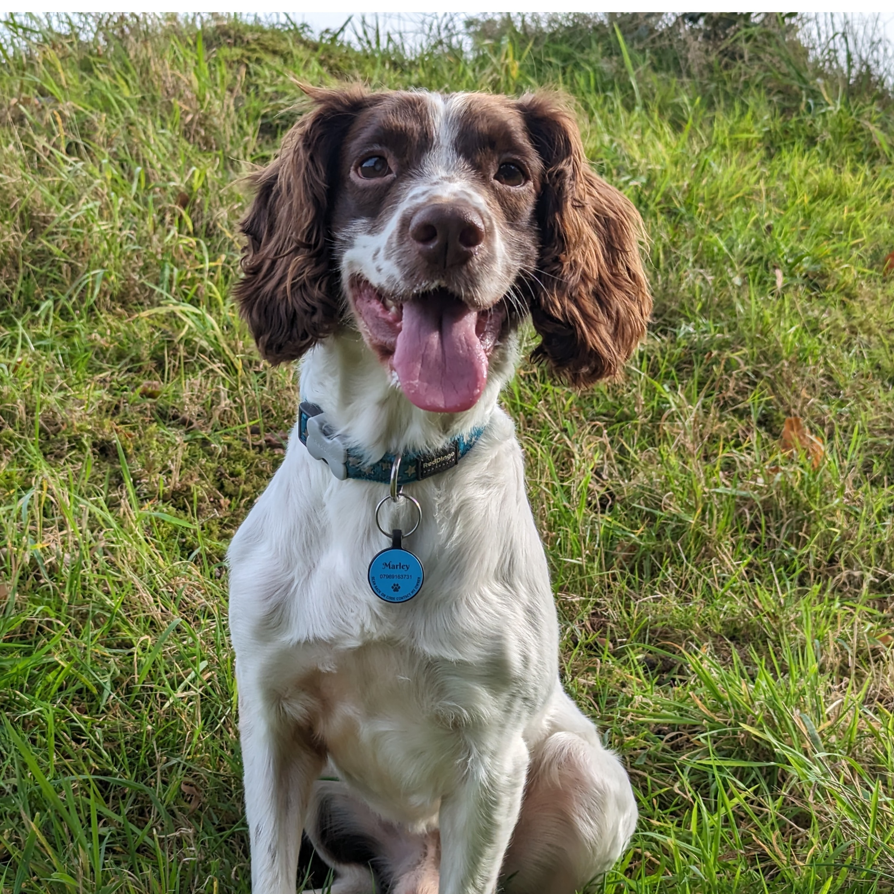 Marley