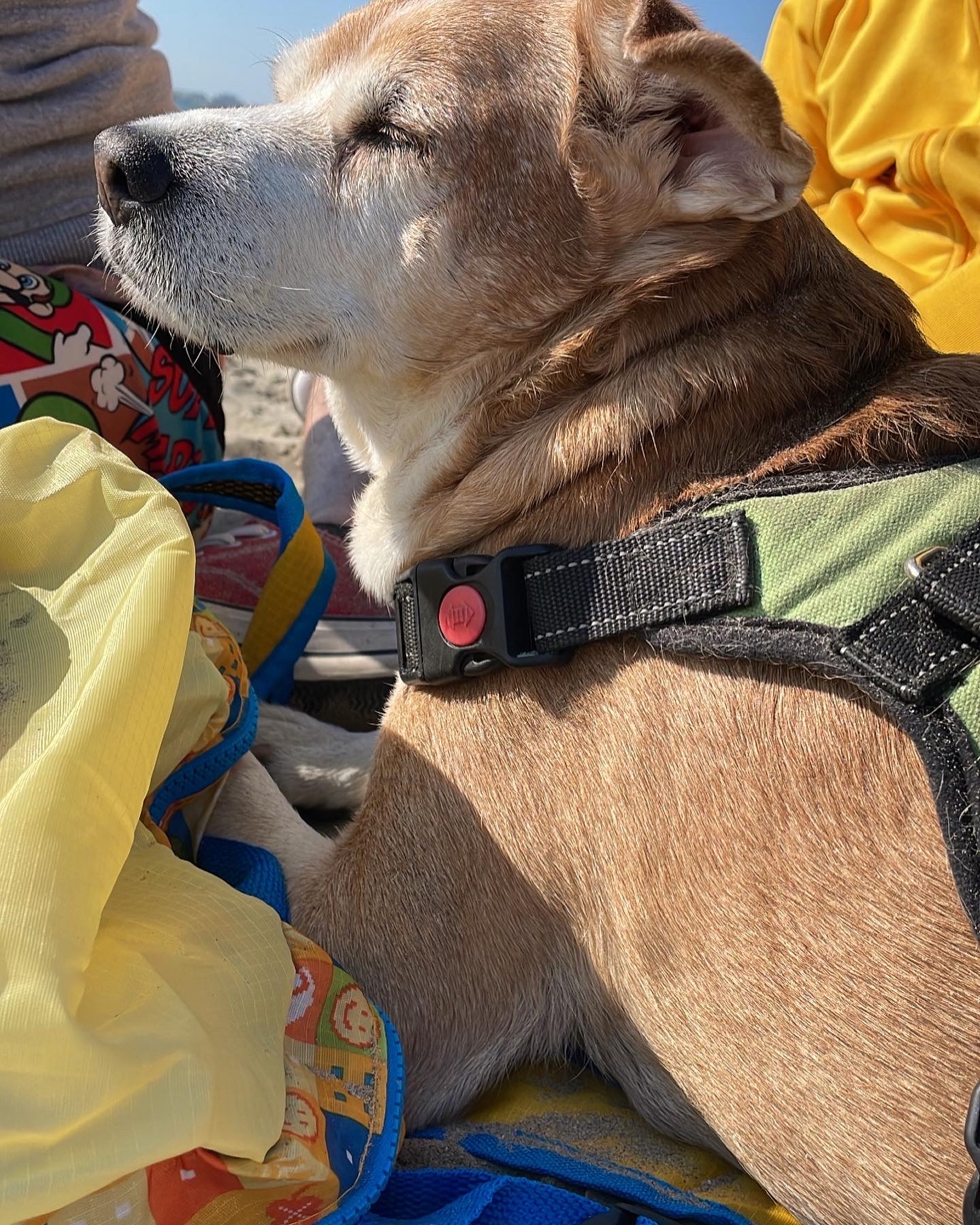 image-6
