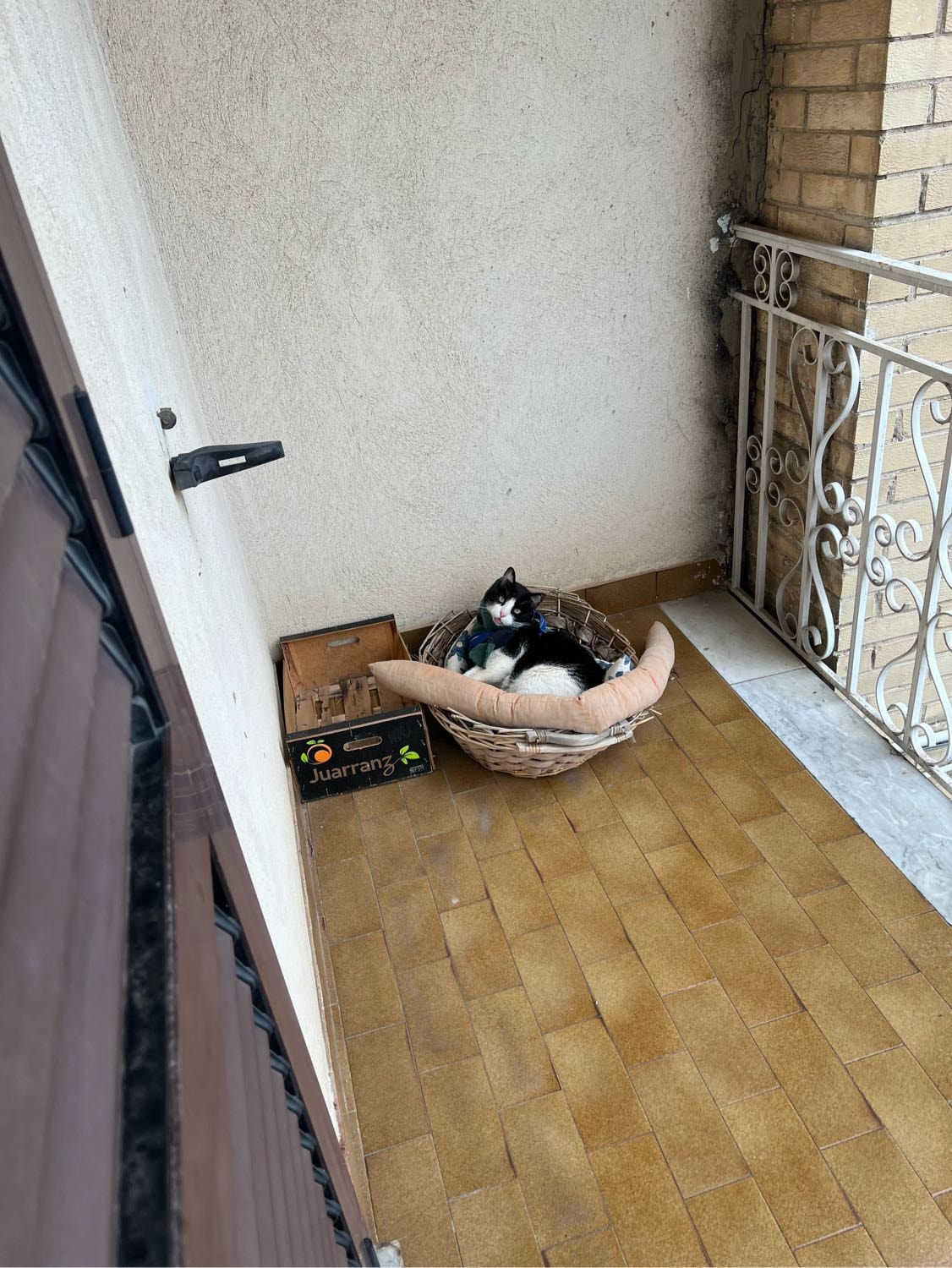 image-4