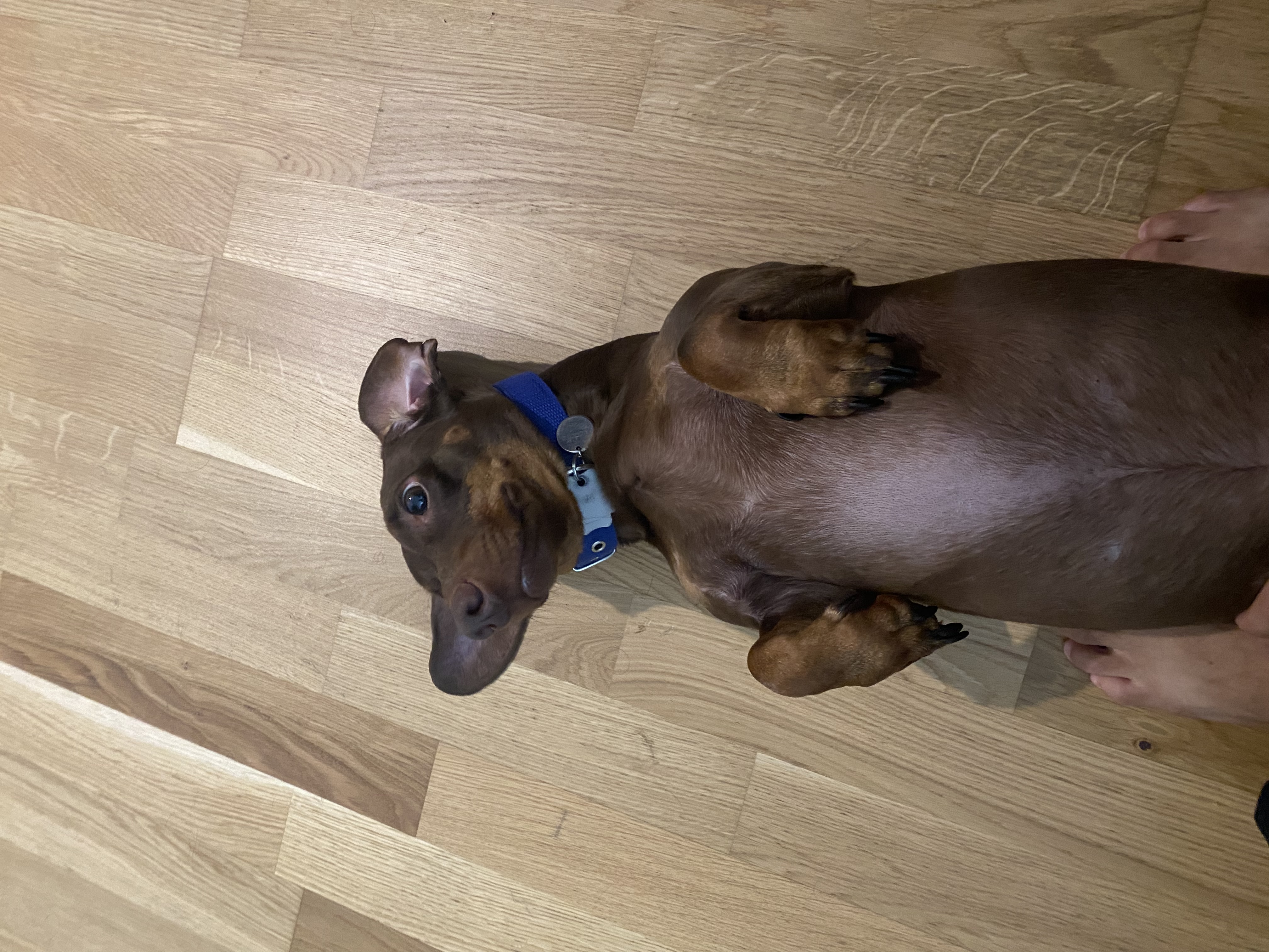 image-6