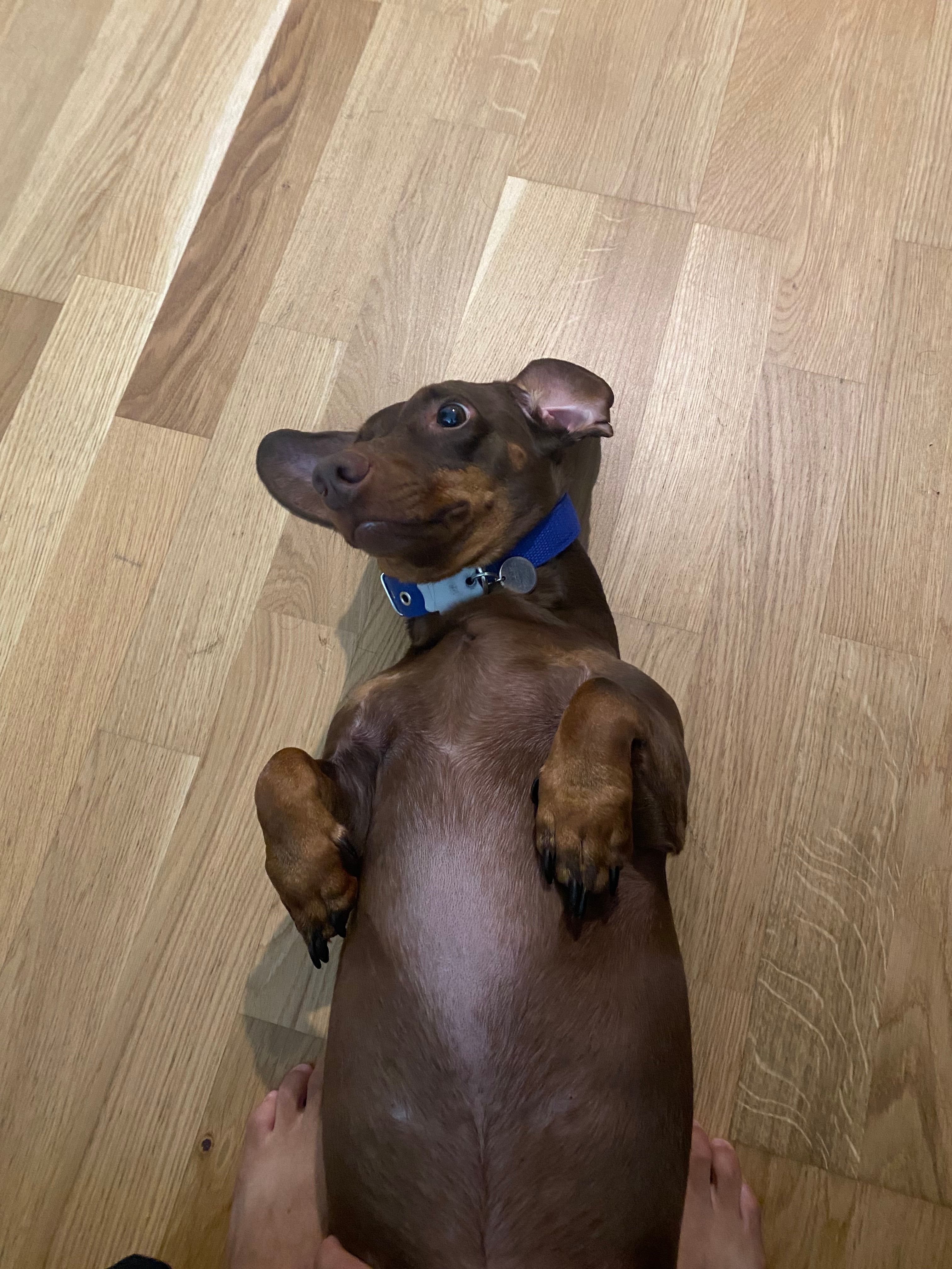 image-6